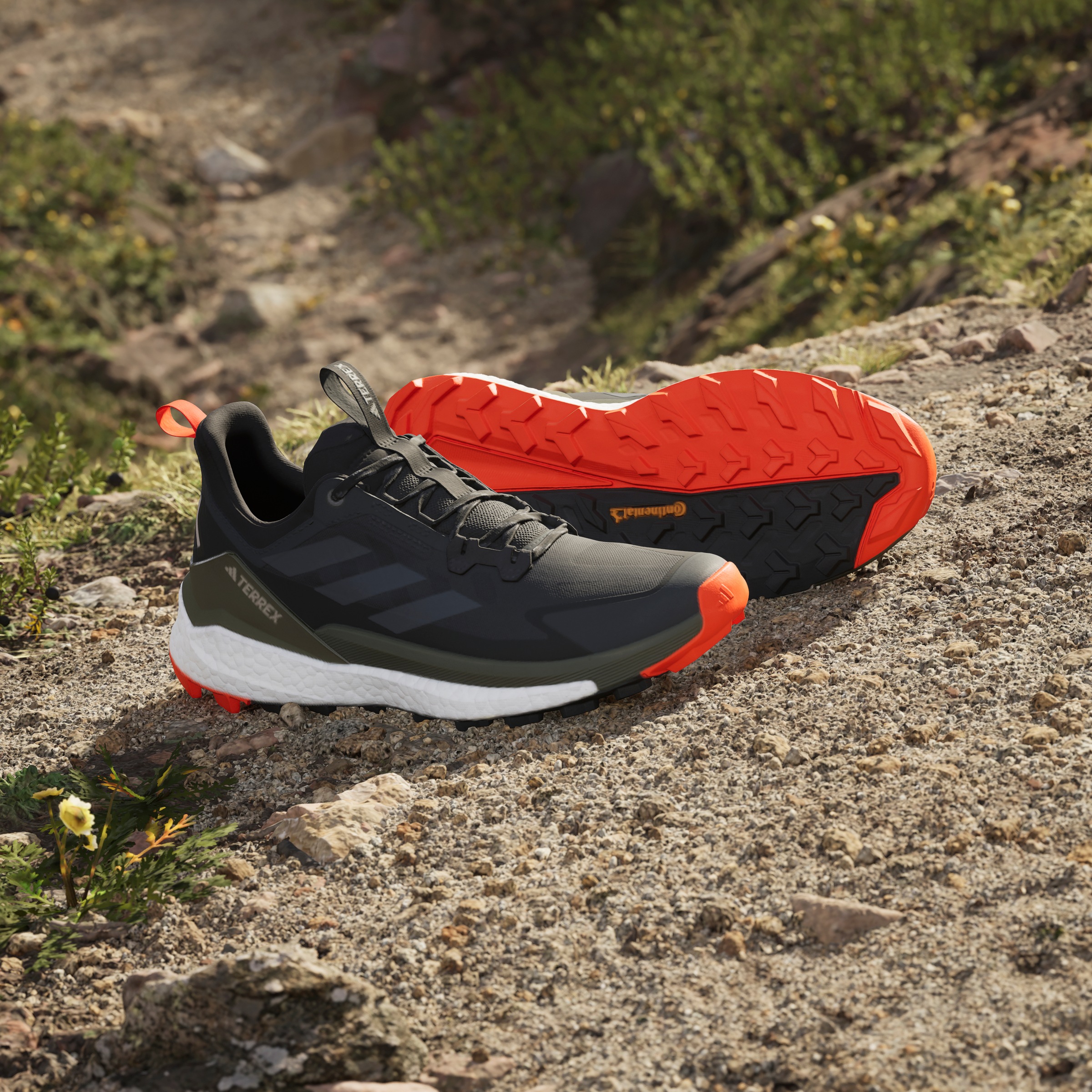 adidas TERREX Wanderschuh »TERREX FREE HIKER 2.0 LOW«
