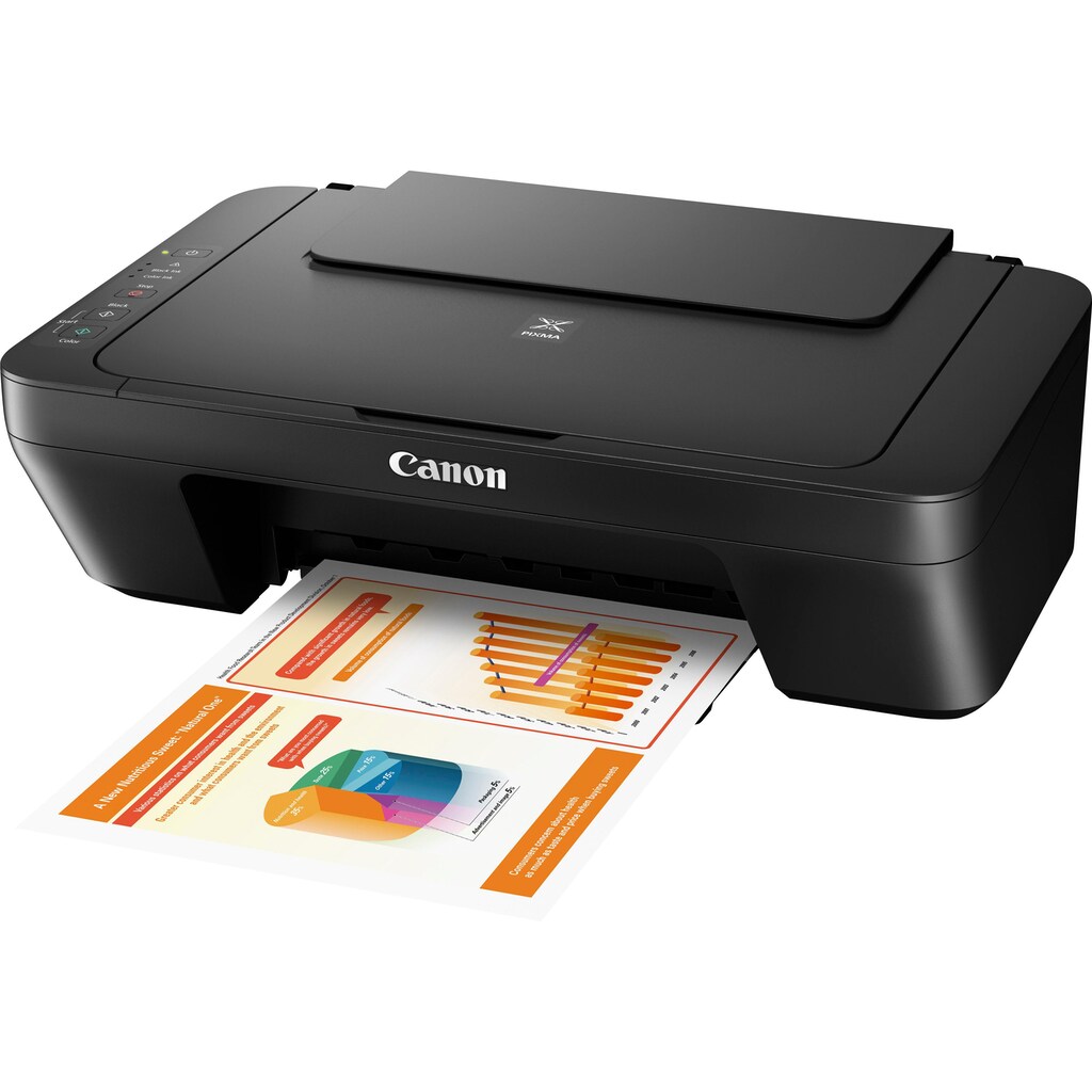 Canon Multifunktionsdrucker »PIXMA MG2555S«