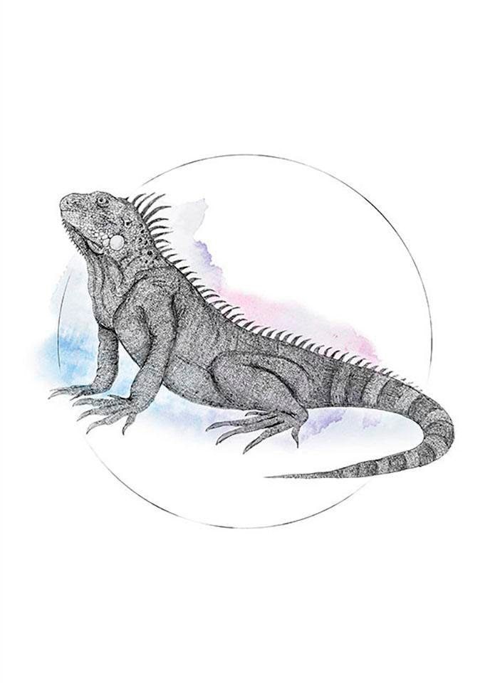 Komar Bild »Iguana Watercolor« Tiere 1 Stk. tlg. Wandbild zur Dekoration - ohne Rahmen