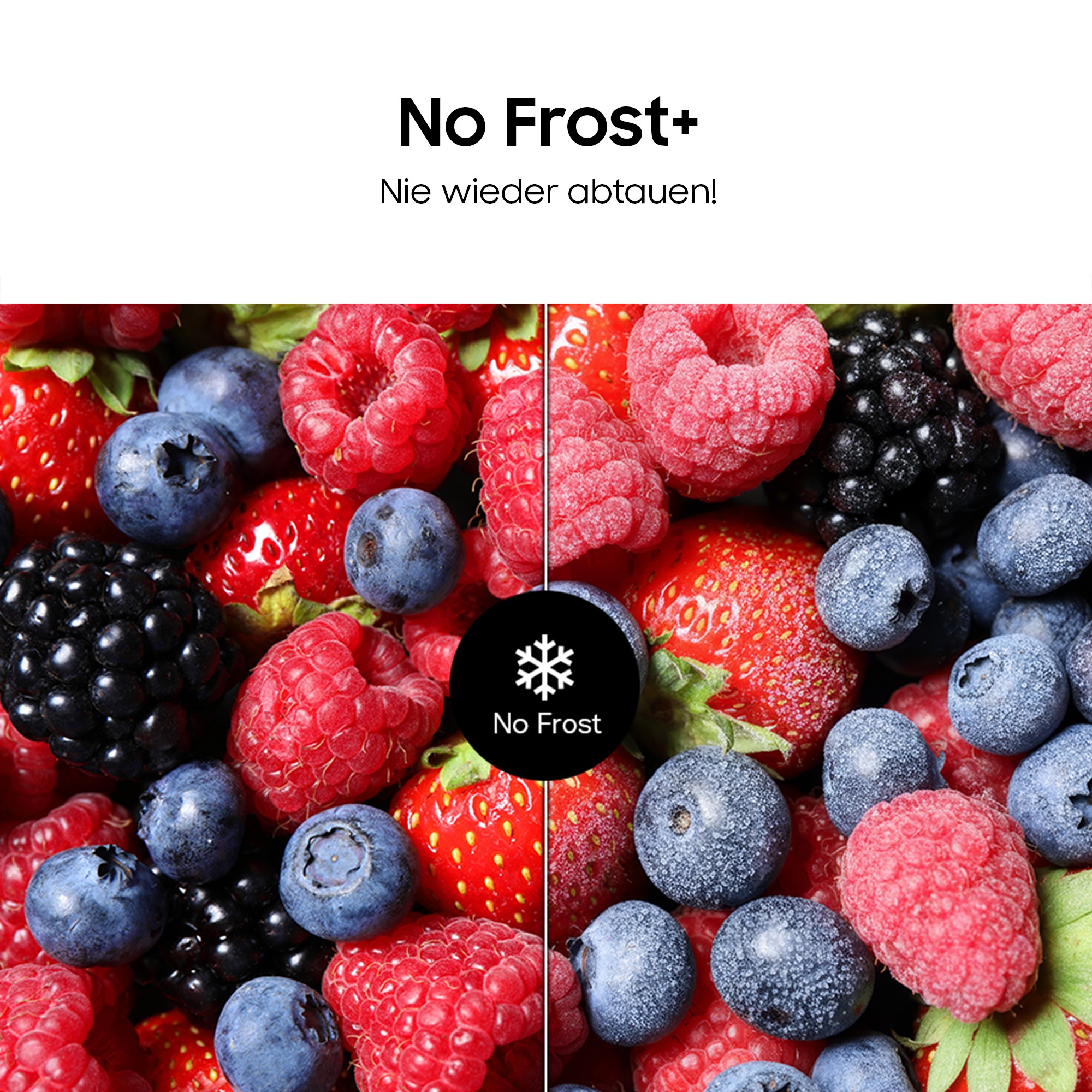 Samsung Gefrierschrank »RZ70H32KDTEF« 185,8 cm hoch 59,5 cm breit No Frost - nie wieder abtauen