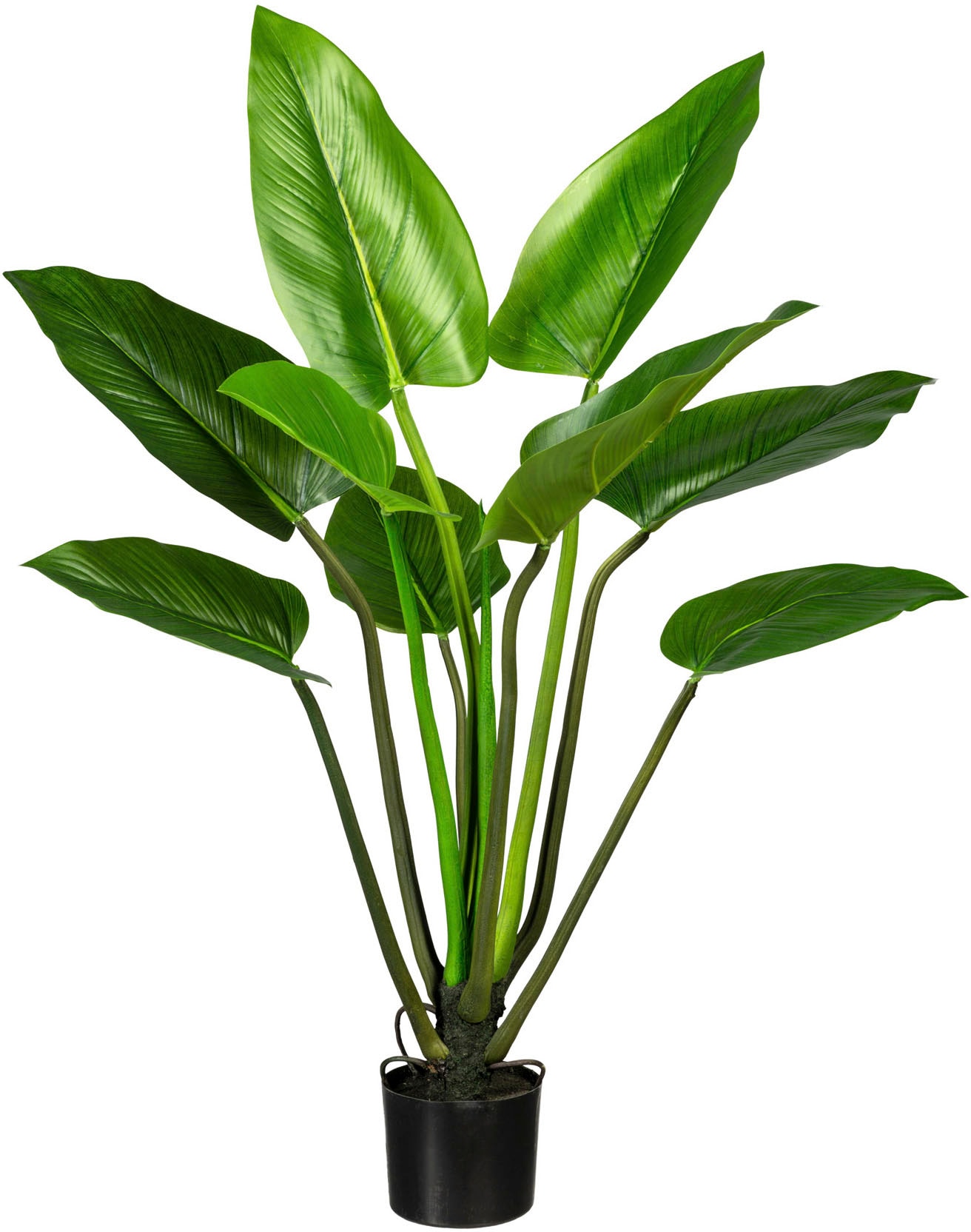 Künstliche Zimmerpflanze »Philodendron«