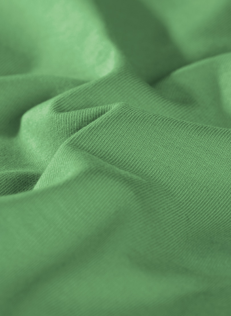 Trigema T-Shirt »TRIGEMA T-Shirt aus 100% Biobaumwolle«, (1 tlg.)