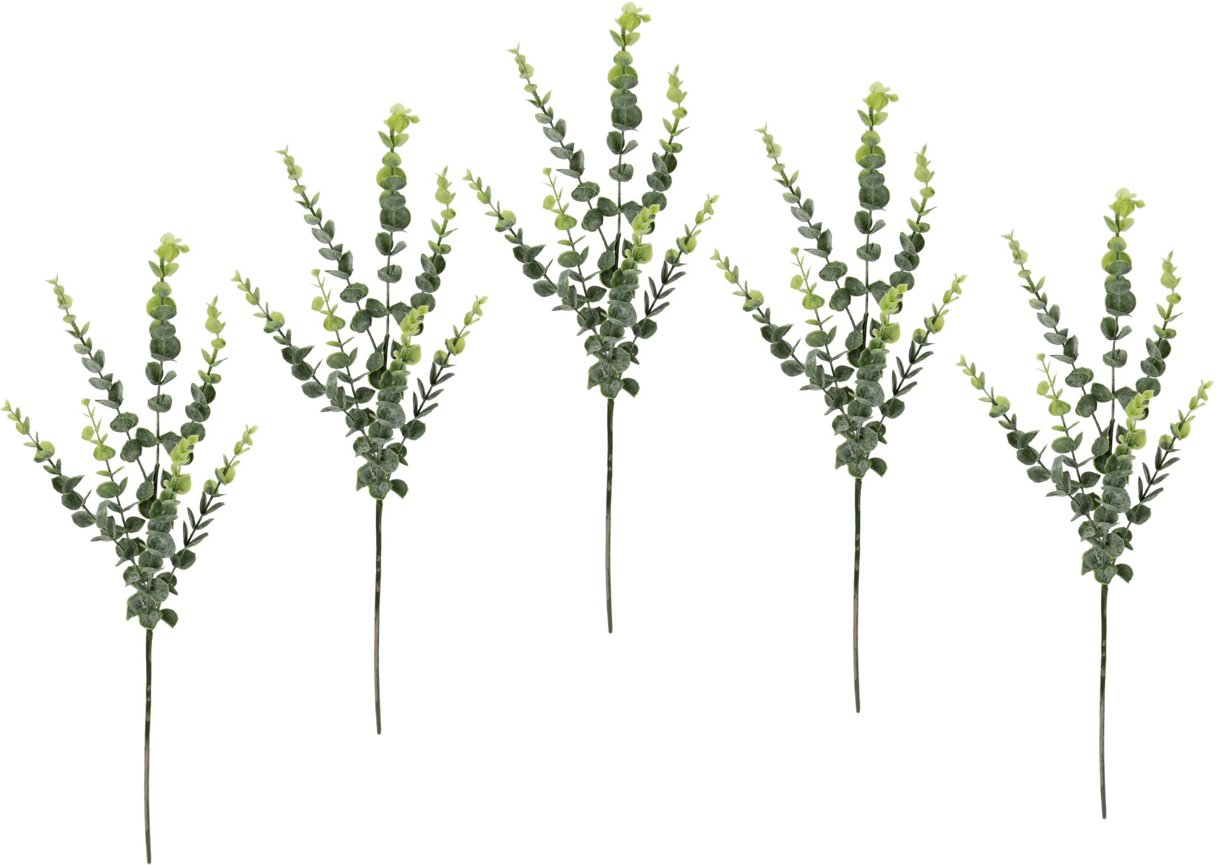 I.GE.A. Kunstzweig »Eukalyptus«, (5 St.), 5er Set, künstlicher Blattzweig