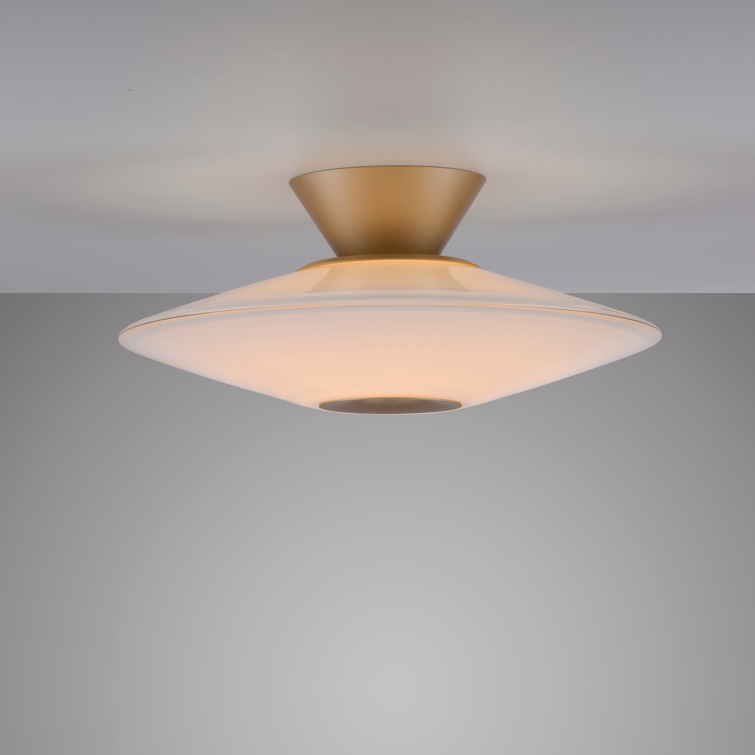 Paul Neuhaus LED Deckenleuchte »ELIPSA« LED-Board 1 Stk. Warmweiß Dimmfähig über separaten Tronicdimmer, Opalglas