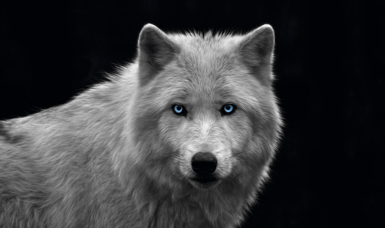 Reinders! Wandbild »Wolfsauge«