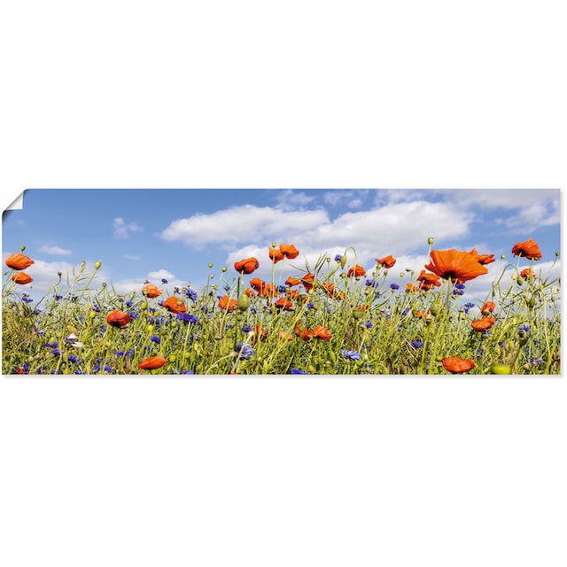 Artland Wandbild »Mohnblumenfeld mit Kornblumen«, Blumenwiese, (1 St.), als  Alubild, Leinwandbild, Wandaufkleber oder Poster in versch. Größen  bestellen online bei OTTO