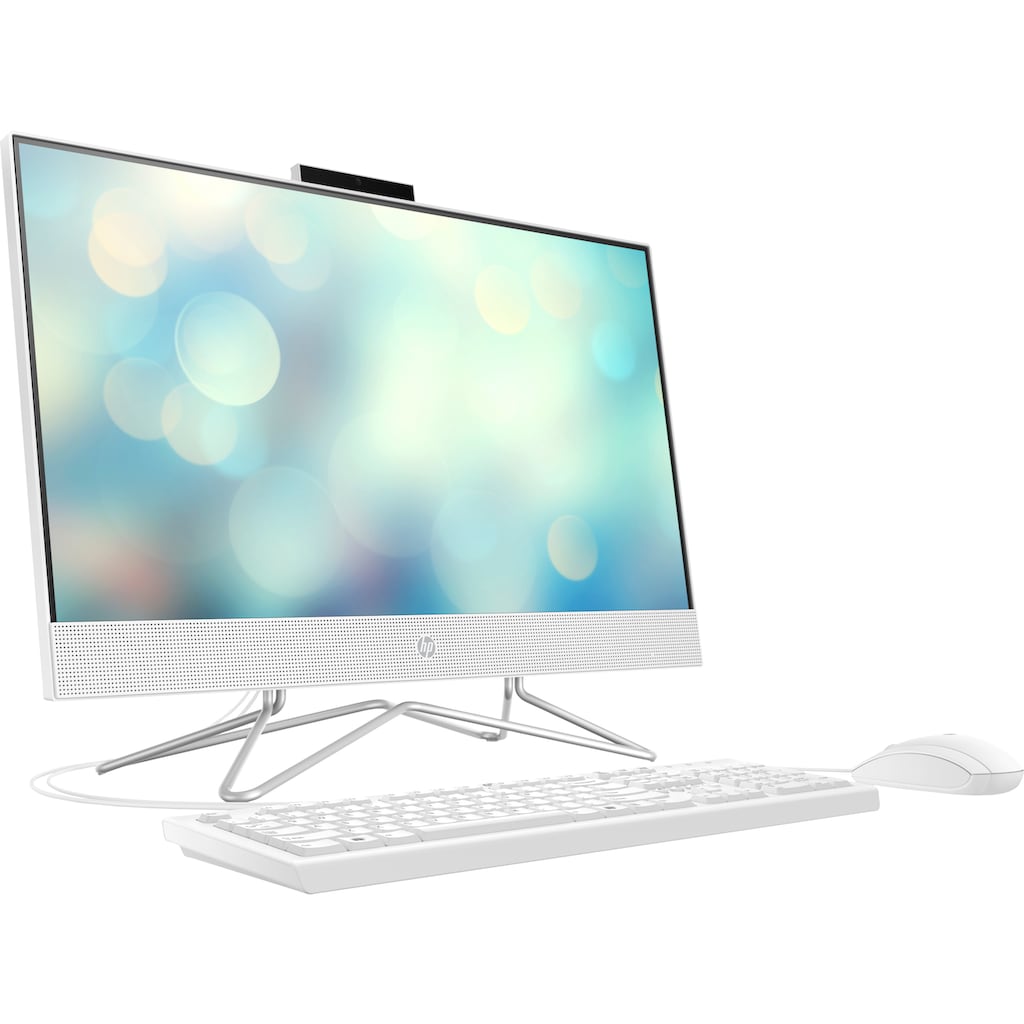 HP All-in-One PC »24-df0022ng«
