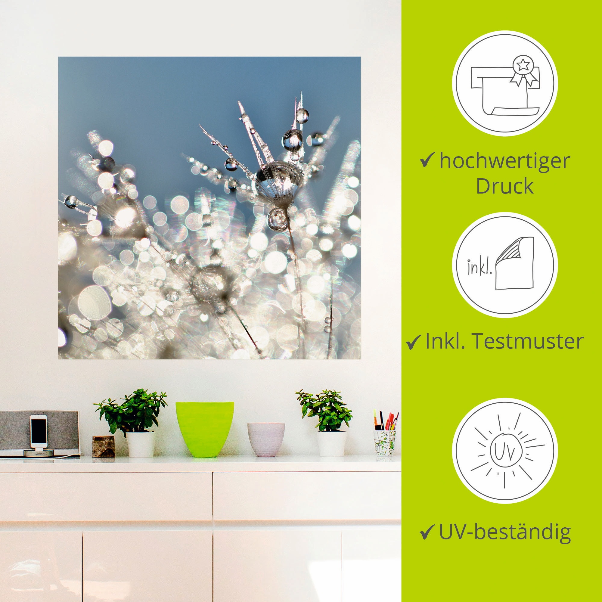 Artland Wandbild »Pusteblume Tropfen abstrakt«, Blumen, (1 St.), als Leinwandbild, Poster, Wandaufkleber in verschied. Größen