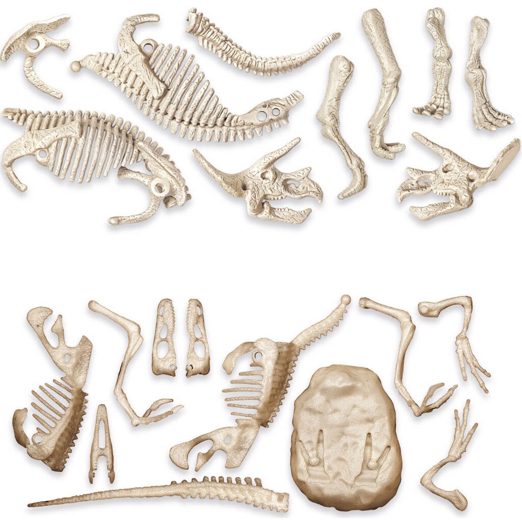 Clementoni® Experimentierkasten »Jurassic World 3, Ausgrabungs-Set Triceratops & Velociraptor«, Made in Europe