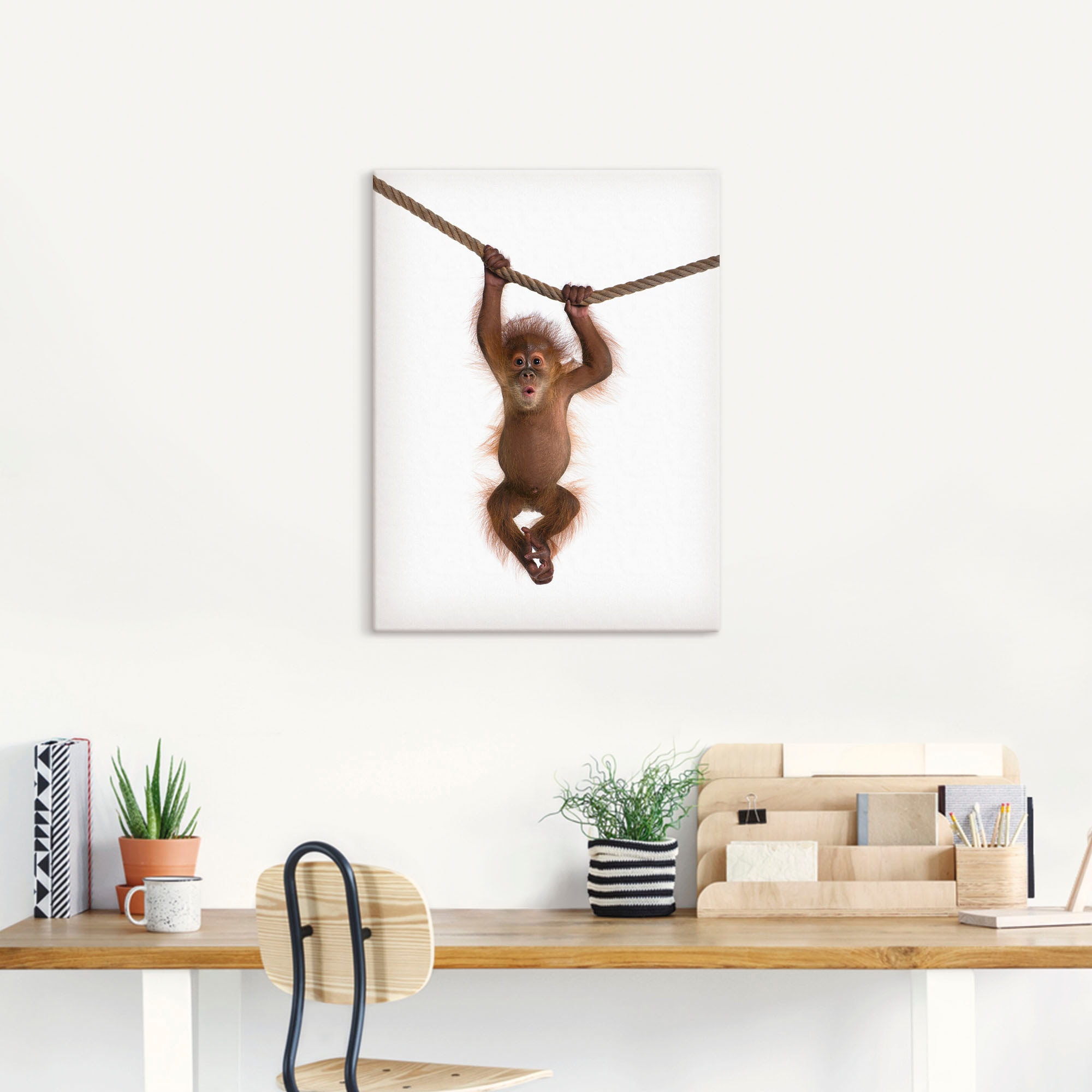 Artland Wandbild »Baby Orang Utan hängt an Seil II«, Wildtiere, (1 St.), als Alubild, Outdoorbild, Leinwandbild, Poster, Wandaufkleber