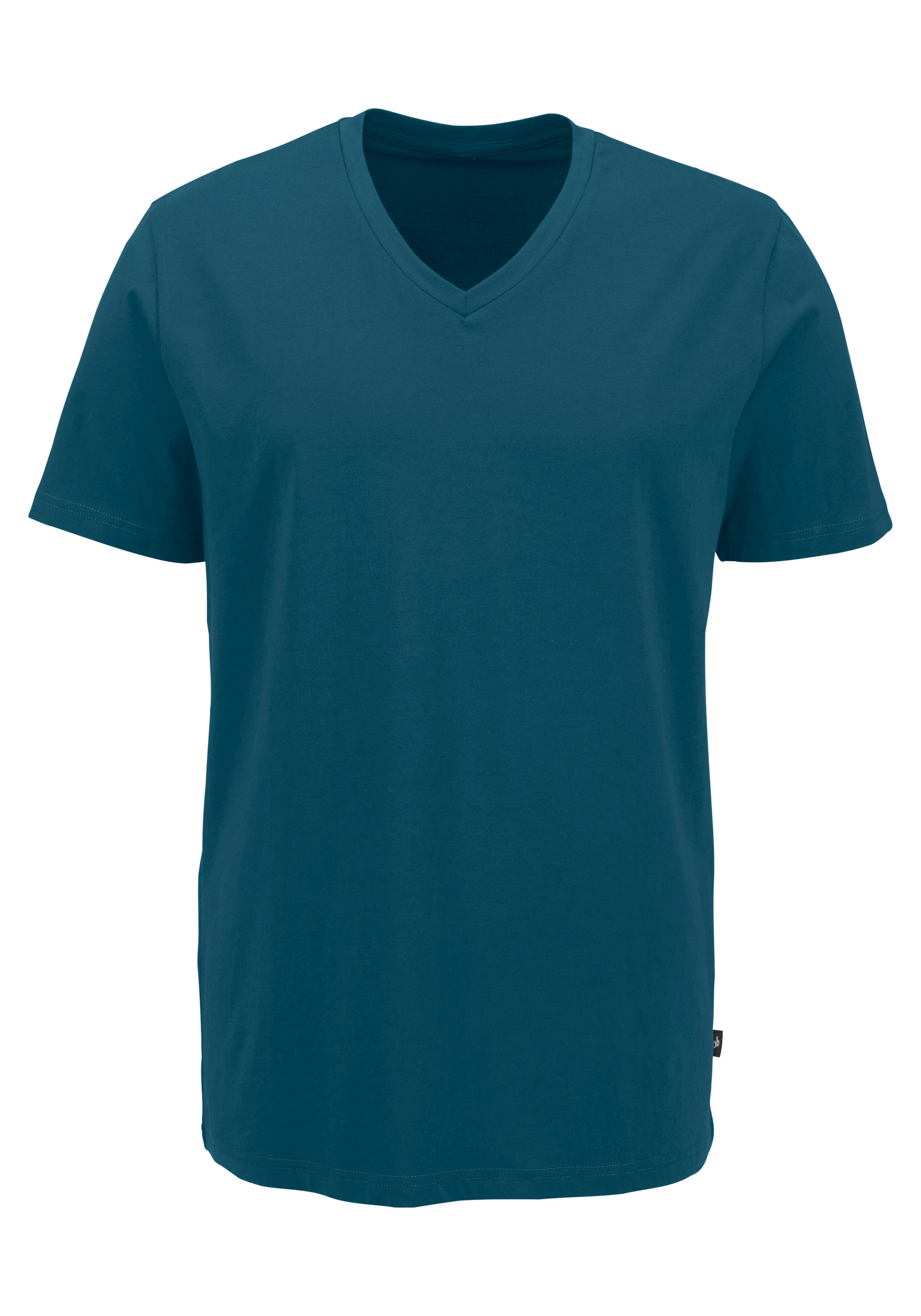 Bruno Banani T-Shirt, mit V-Ausschnitt, perfekte Passform, aus elastischer Baumwolle