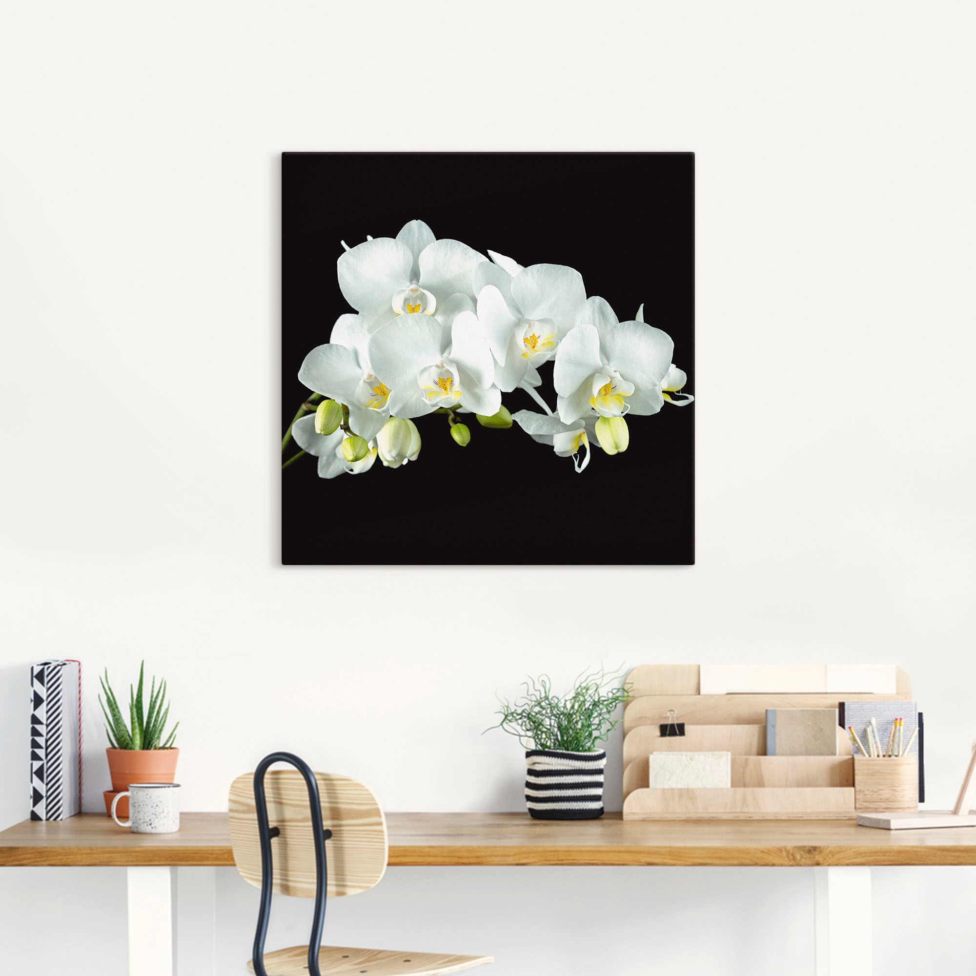 Artland Leinwandbild »Weiße Orchidee auf schwarzem Hintergrund« Blumen 1 Stk. tlg. auf Holzrahmen gespannt