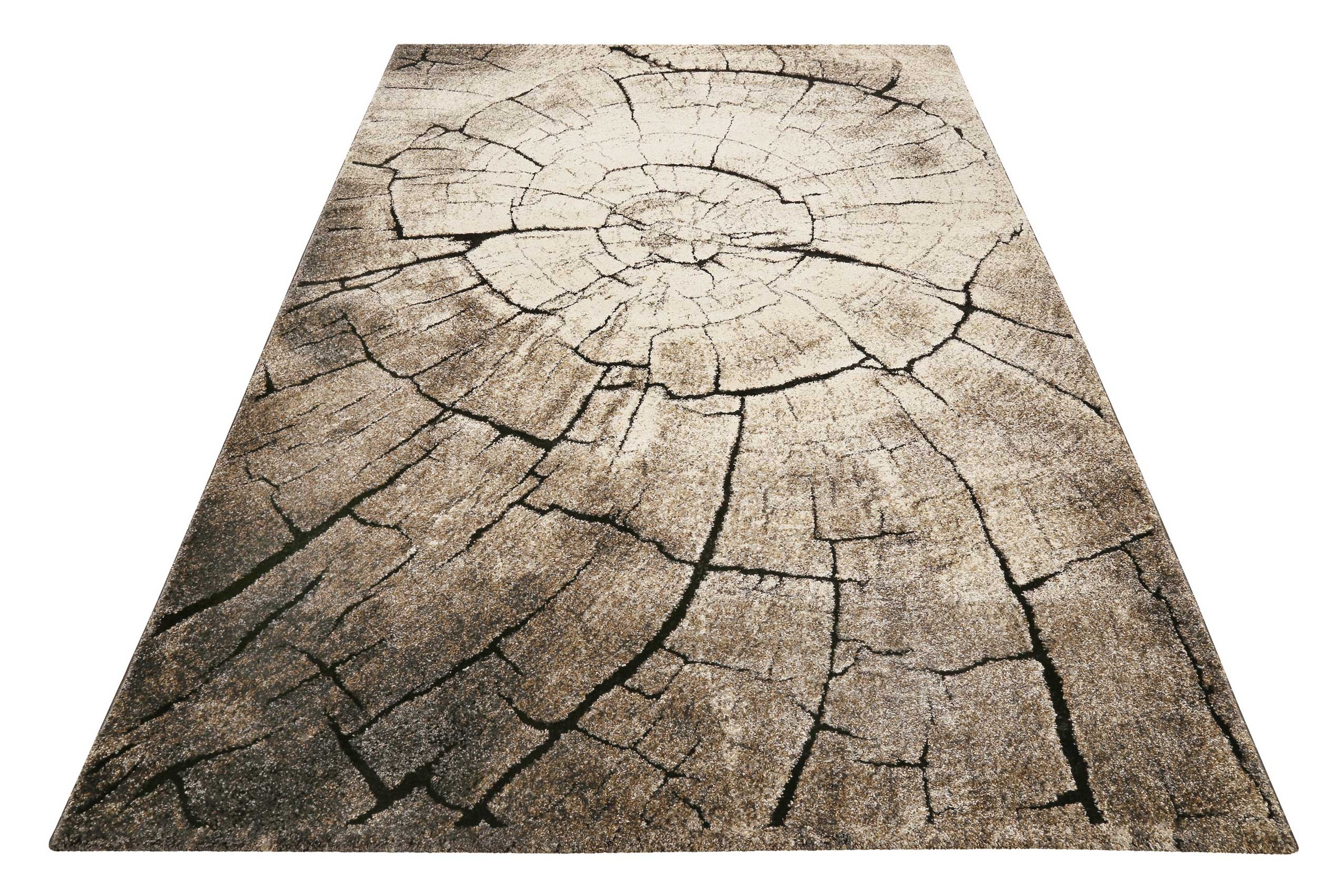 Wecon home Teppich »Wild Oak«, rechteckig, 13 mm Höhe, Holz Optik, Wohnzimmer