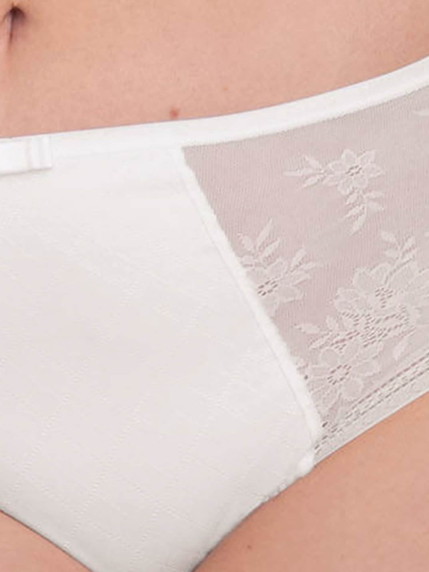 Anita Taillenslip »Taillenslip Rosemary«