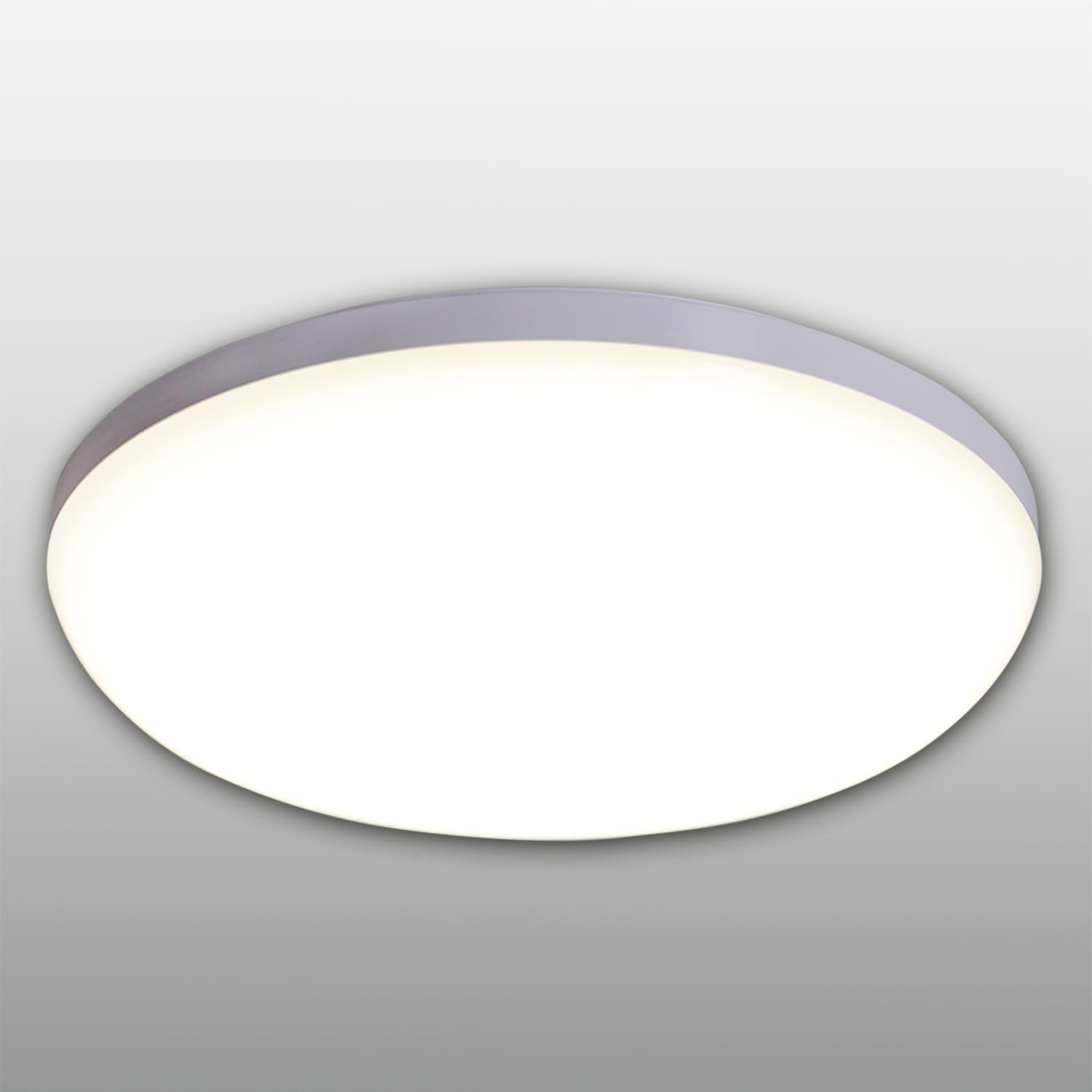 LED Deckenleuchte »Garda«, 1 flammig-flammig, weiß satiniert, Kunststoff/Metall, IP54