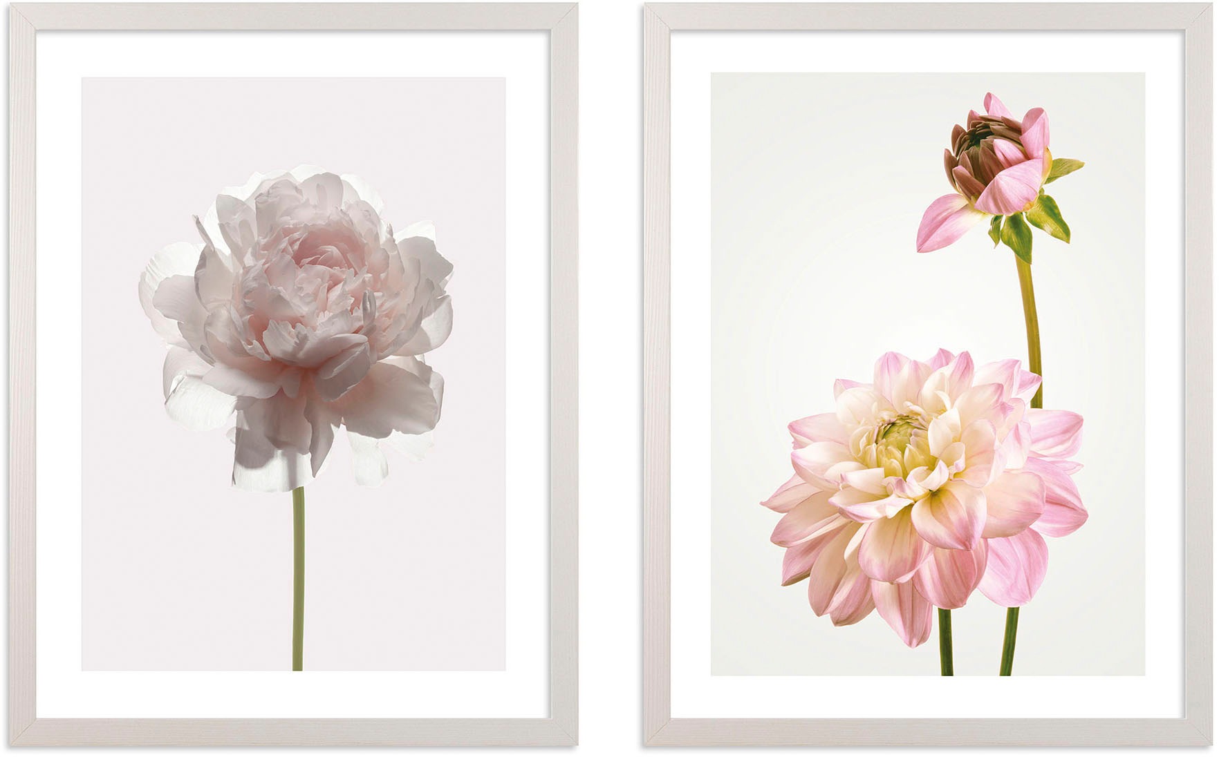 Komar Bild mit Rahmen »Floral Delights« 2 Stk. tlg. maschinell in bunt