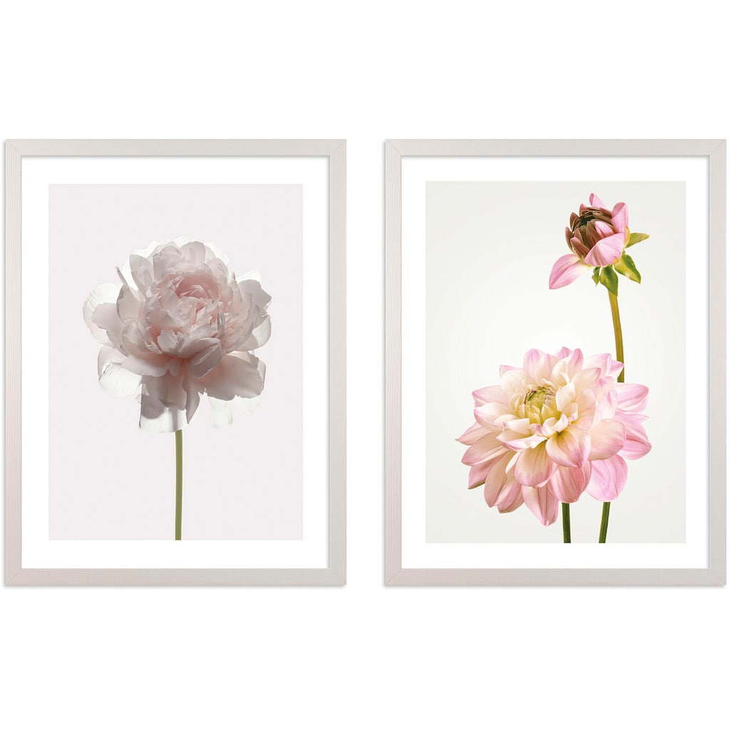 Komar Bild mit Rahmen »Floral Delights«, (2 St.)