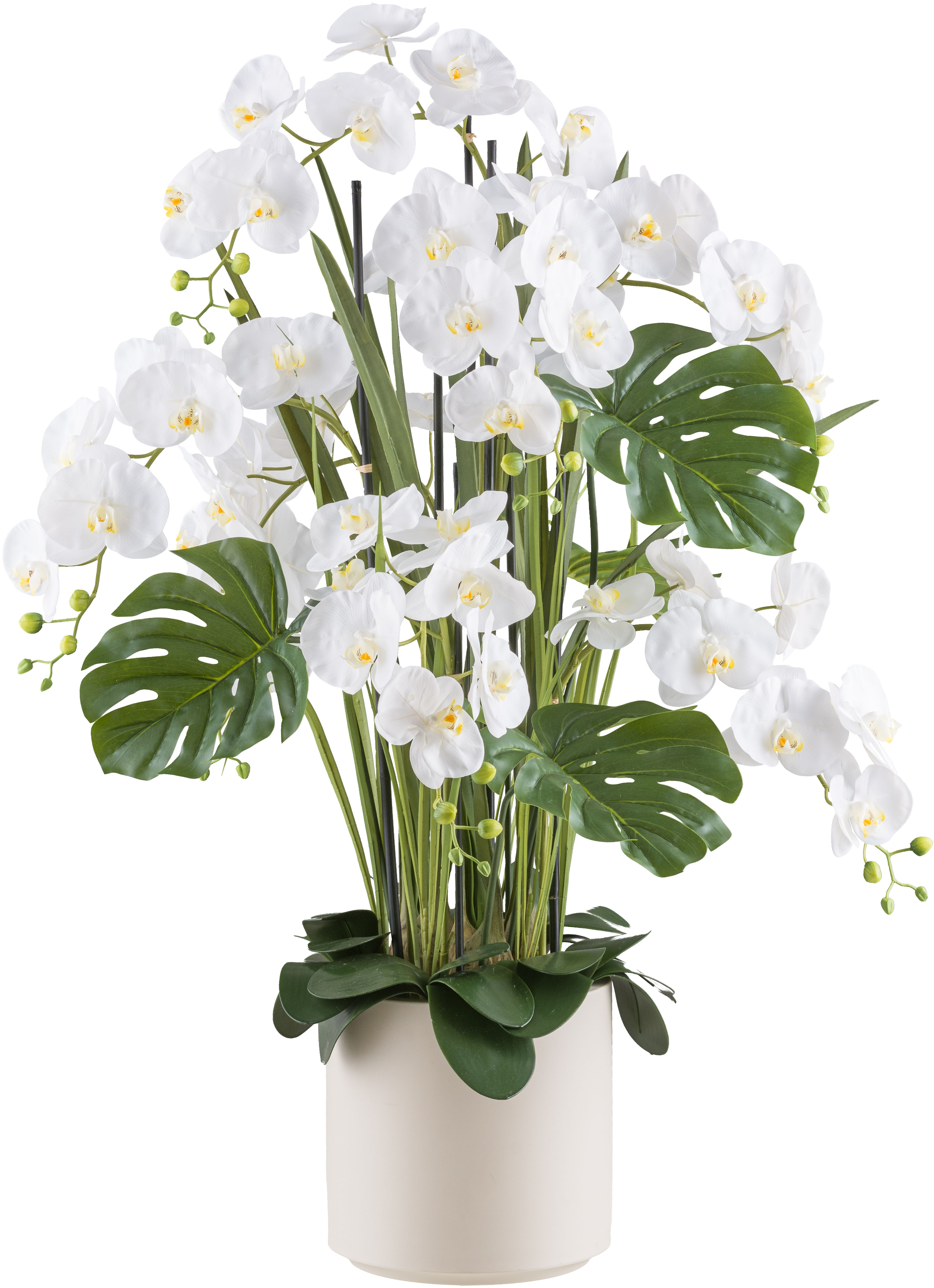 Creativ Green Kunstorchidee »Orchidee Phalaenopsis« mit Gräsern und Splitphilo-Blättern in beige, Größe B/H/L: 120 cm