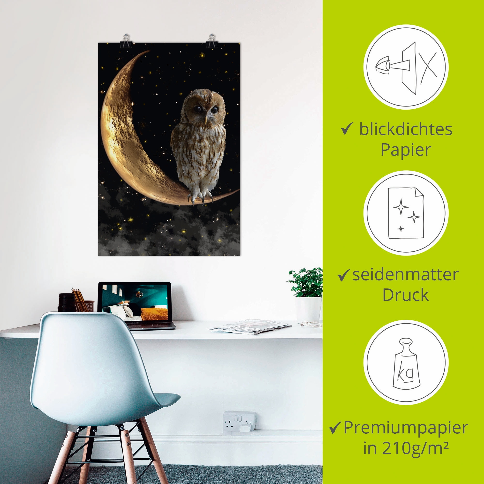 Artland Wandbild »Nachteule« Vögel 1 Stk. tlg. als Alubild, Leinwandbild, Poster in verschied. Größen