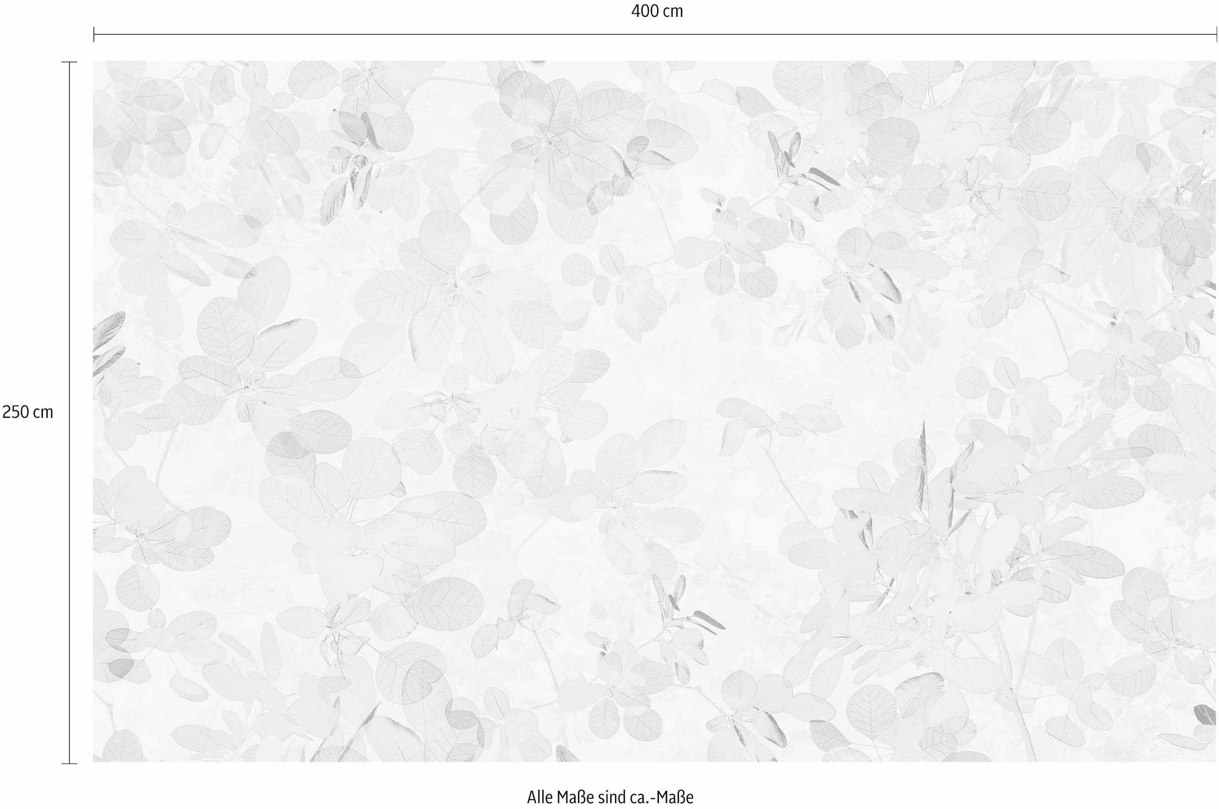 Komar Vliestapete »Digitaldruck Vlies - Sheer Grey - Größe 400 x 250 cm«, bedruckt, Wohnzimmer, Schlafzimmer