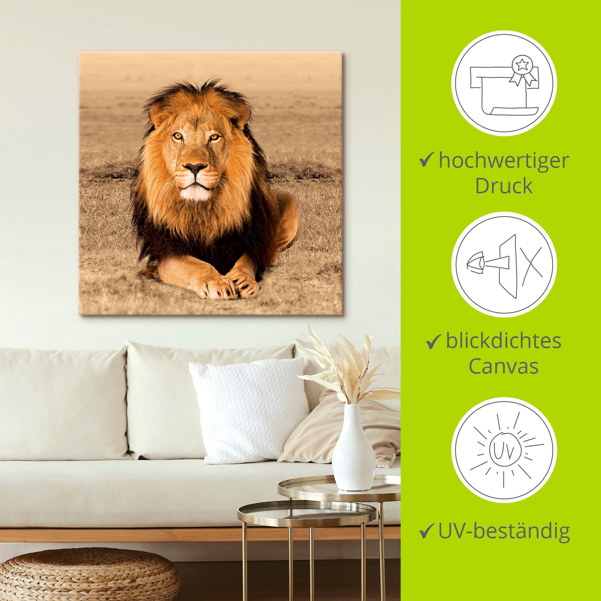 Artland Wandbild »Löwe«, Wildtiere, (1 St.), als Alubild, Outdoorbild, Leinwandbild, Poster, Wandaufkleber