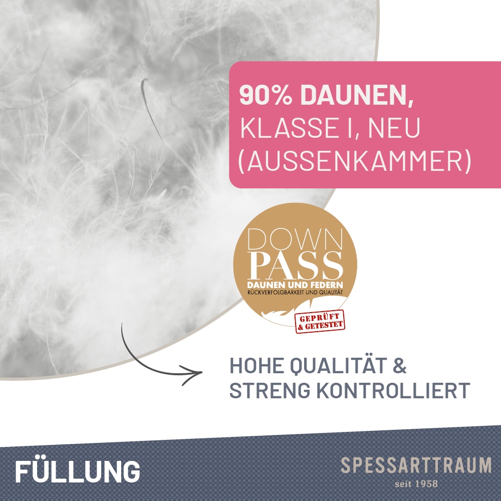 SPESSARTTRAUM 3-Kammer-Kopfkissen »Arosa Kissen in 40x80 & 80x80 cm«, Füllung: 90% Daune & 10 % Federn, Bezug: 100% Baumwolle, (1 St.), Kissenfüllung durch den Downpass zertifiziert, Made in Germany