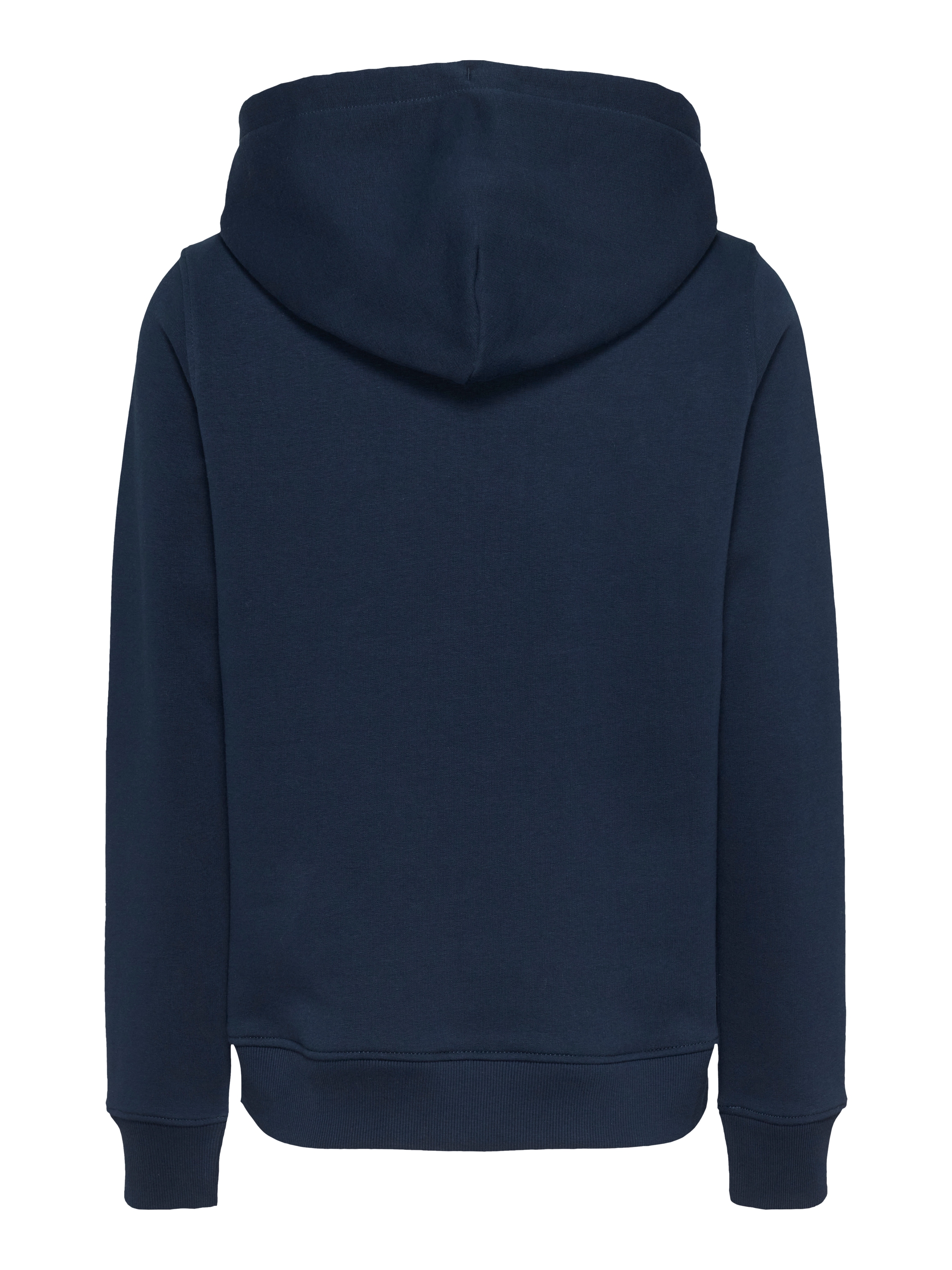 Tommy Jeans Curve Kapuzensweatshirt »TJW REG TONAL LINEAR HOODIE EXT«, in Großen Größen, Kapuze, Logostickerei