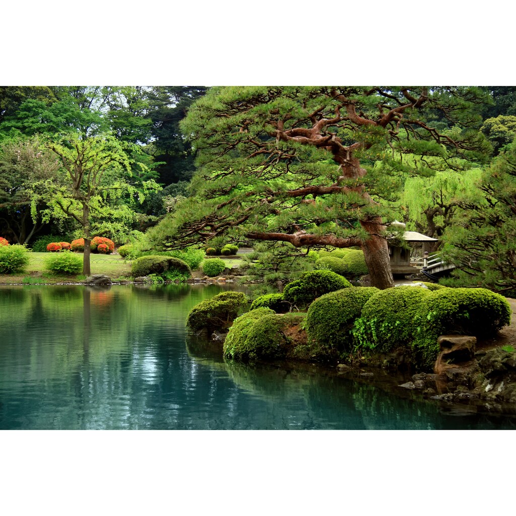 Papermoon Fototapete »GARTEN-ZEEN SEE BONZAI BÄUME BLUMEN PFLANZEN PARK GRÜN«