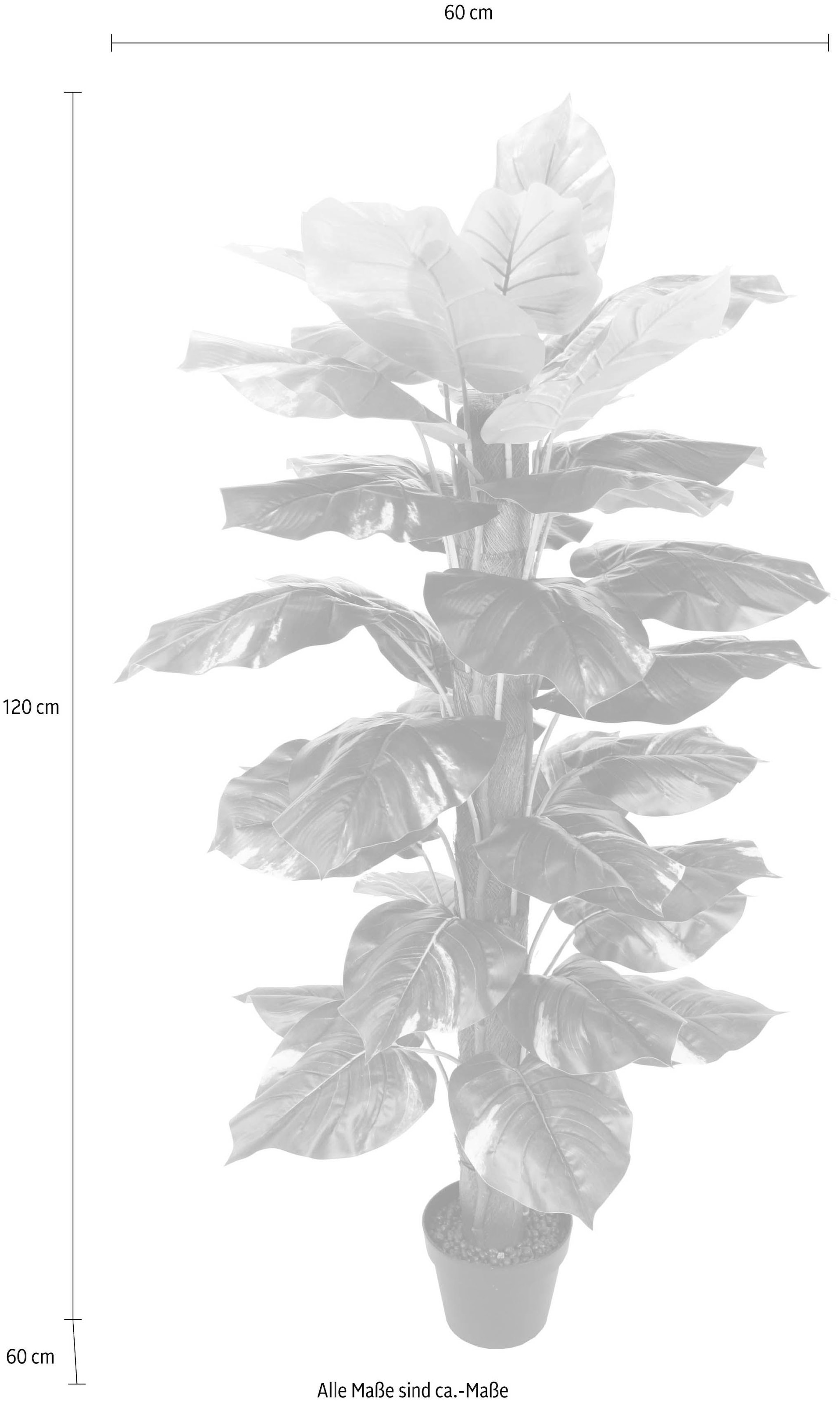 I.GE.A. Kunstpflanze