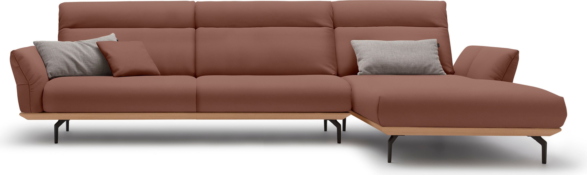 Creation BY ROLF BENZ Ecksofa »hs.460«, Sockel in Eiche, Winkelfüße in Umbragrau, Breite 338 cm