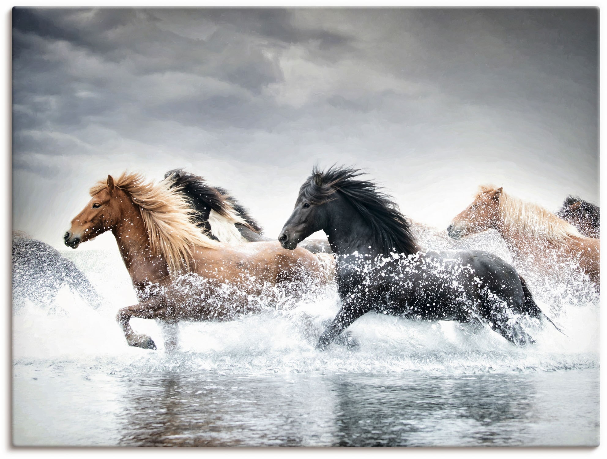 bei (1 OTTO Pferdebilder, Wandbild online Größen »Pferderennen V«, kaufen als Leinwandbild, Poster verschied. St.), in Artland