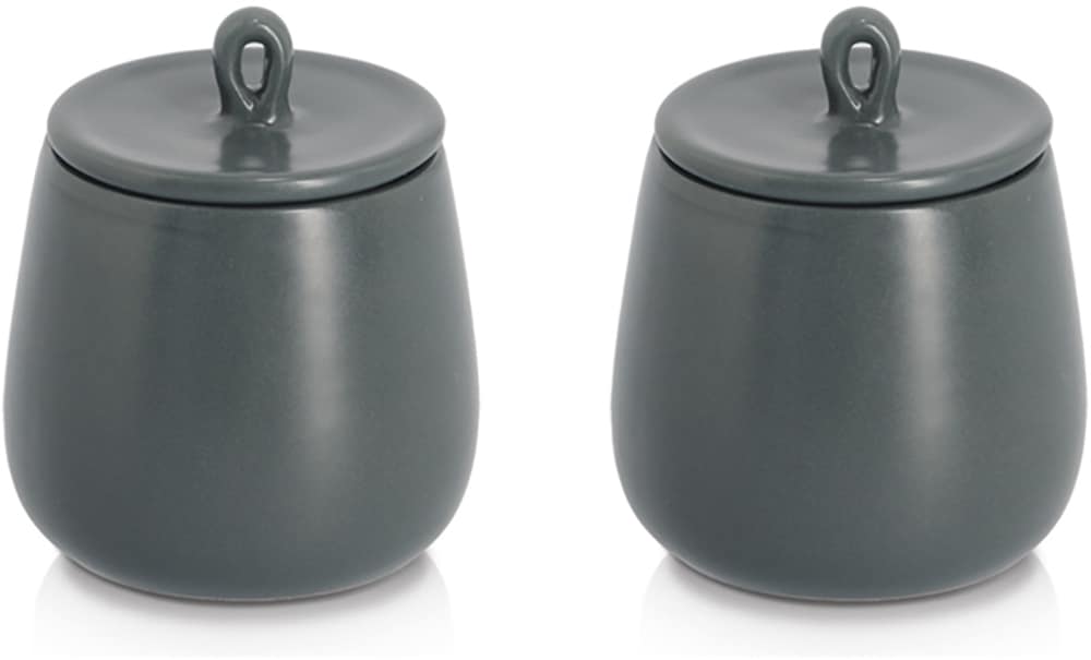 Zeller Present Gewürzbehälter »Gewürzdose, 2-tlg.« Set, 2 Stk. tlg. schützt vor Feuchtigkeit, 220 ml