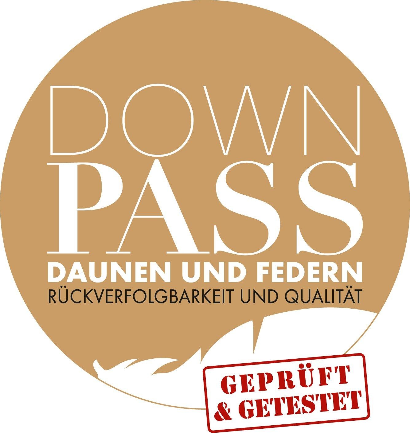 Haeussling Federkopfkissen »Kristall Edition«, Füllung: 85 % Federn & 15 % Daunen, Bezug: 100% Baumwolle, (1 St.), durch NOMITE ideal für Hausstauballergiker