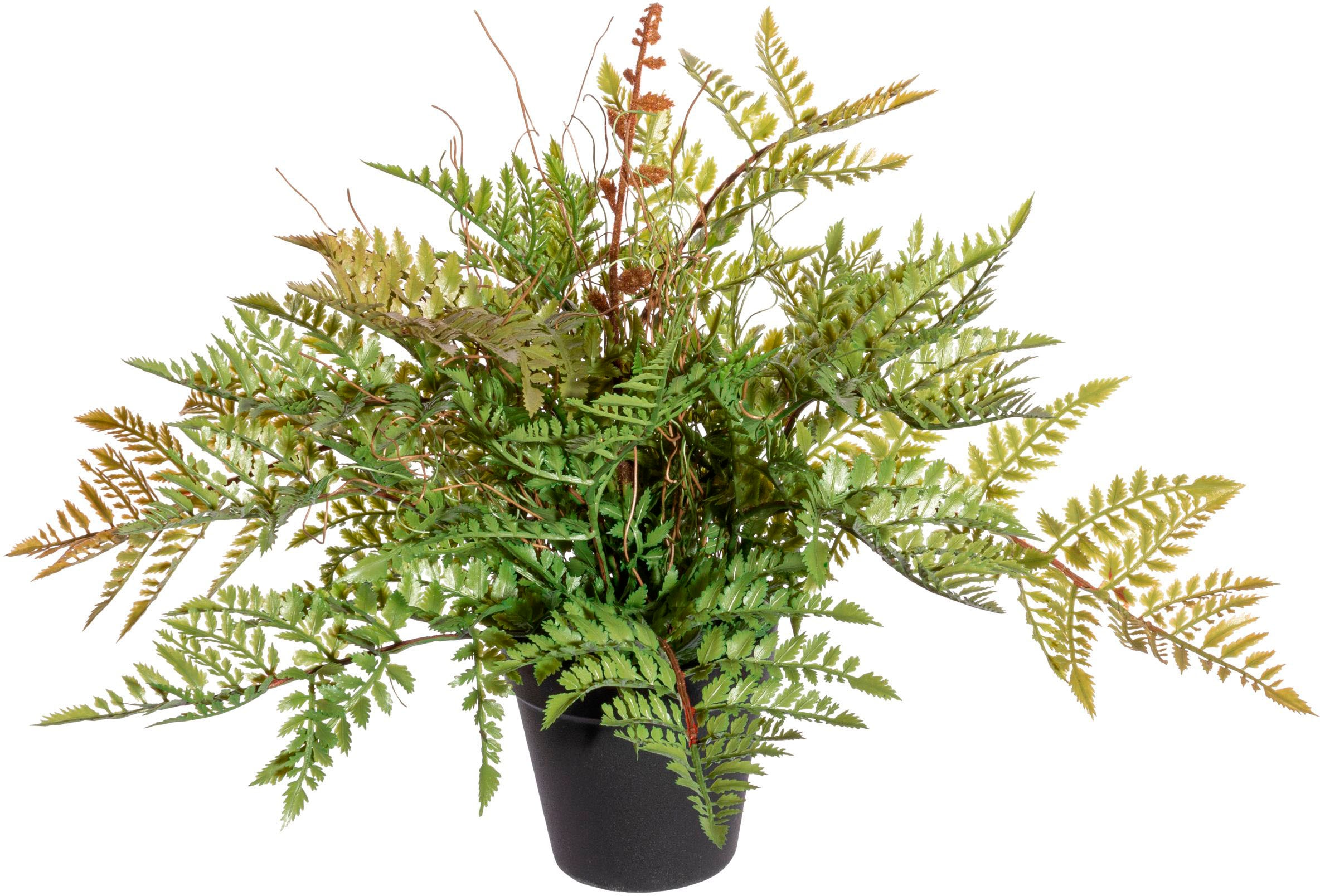 »Farnbusch« bei Creativ green OTTO Künstliche Zimmerpflanze