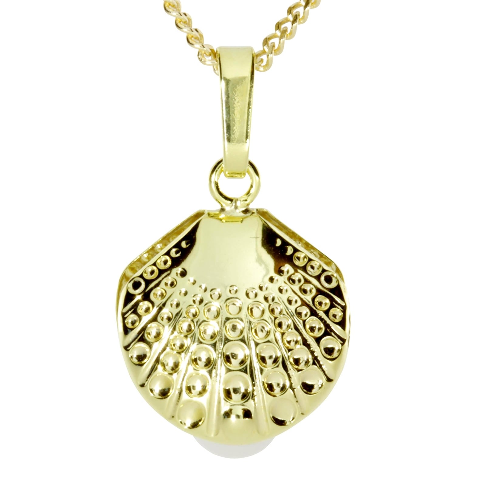 OSTSEE-SCHMUCK Kette und Anhänger Set »- Muschel - Gold 333/000 - ,« ()