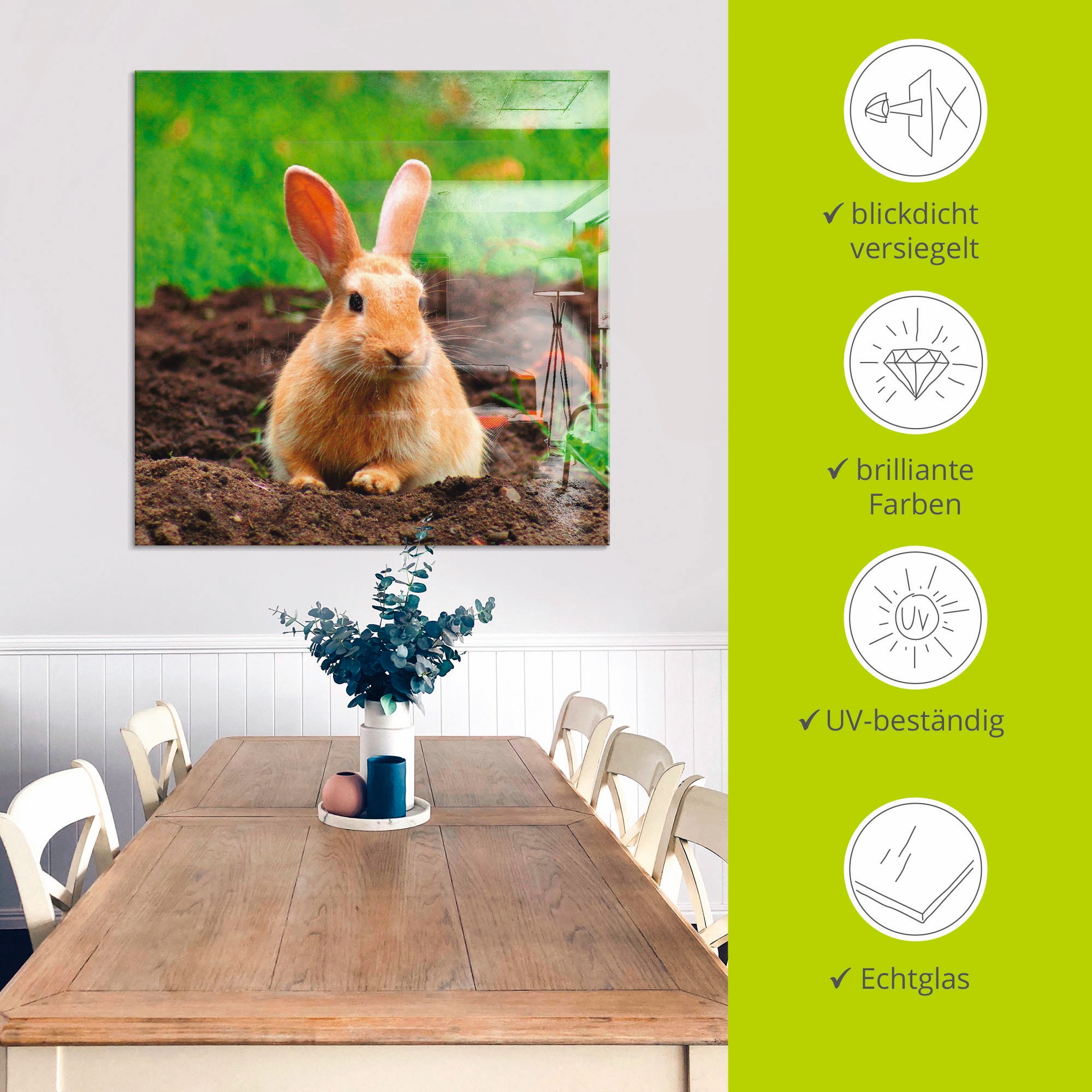 Artland Glasbild »Glückliches Zwergkaninchen«, Wildtiere, (1 St.), in verschiedenen Größen