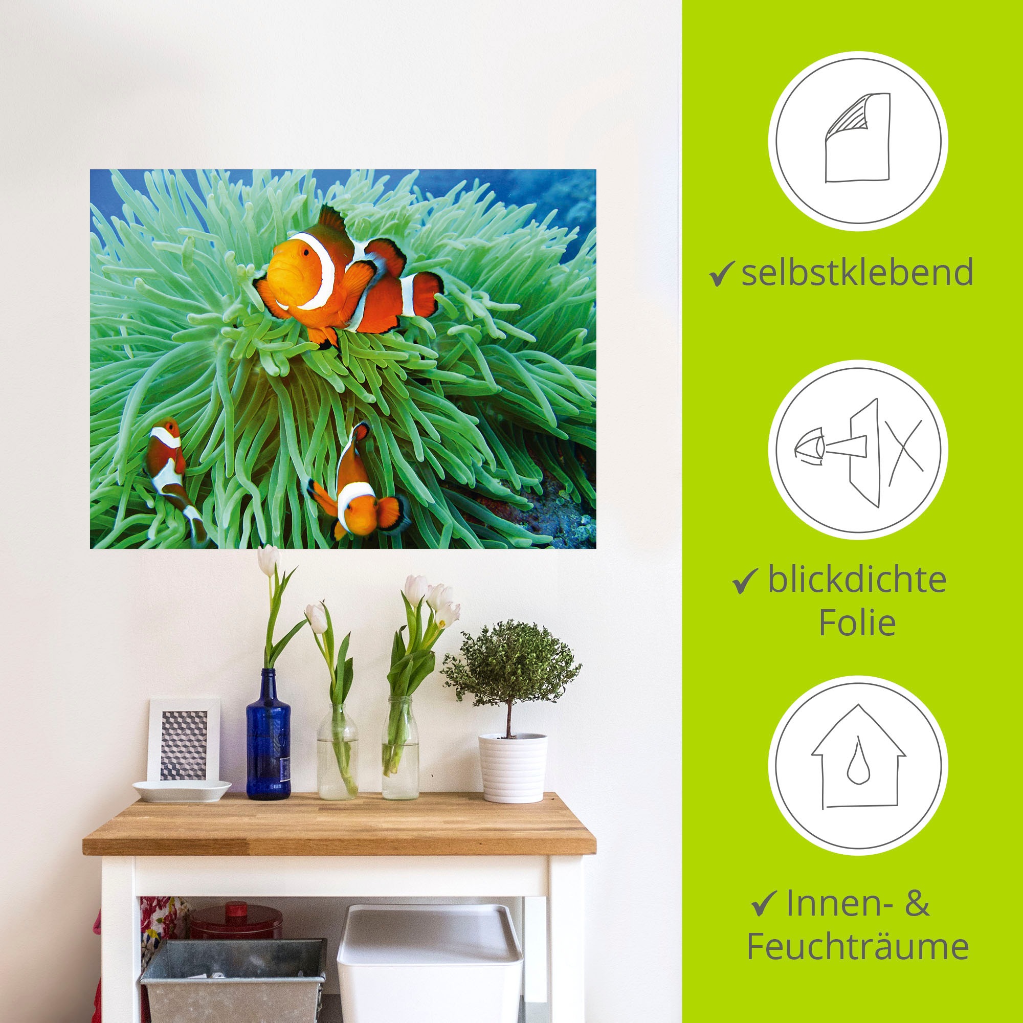 Artland Wandbild »Finde Nemo«, Wassertiere, (1 St.), als Poster, Wandaufkleber in verschied. Größen