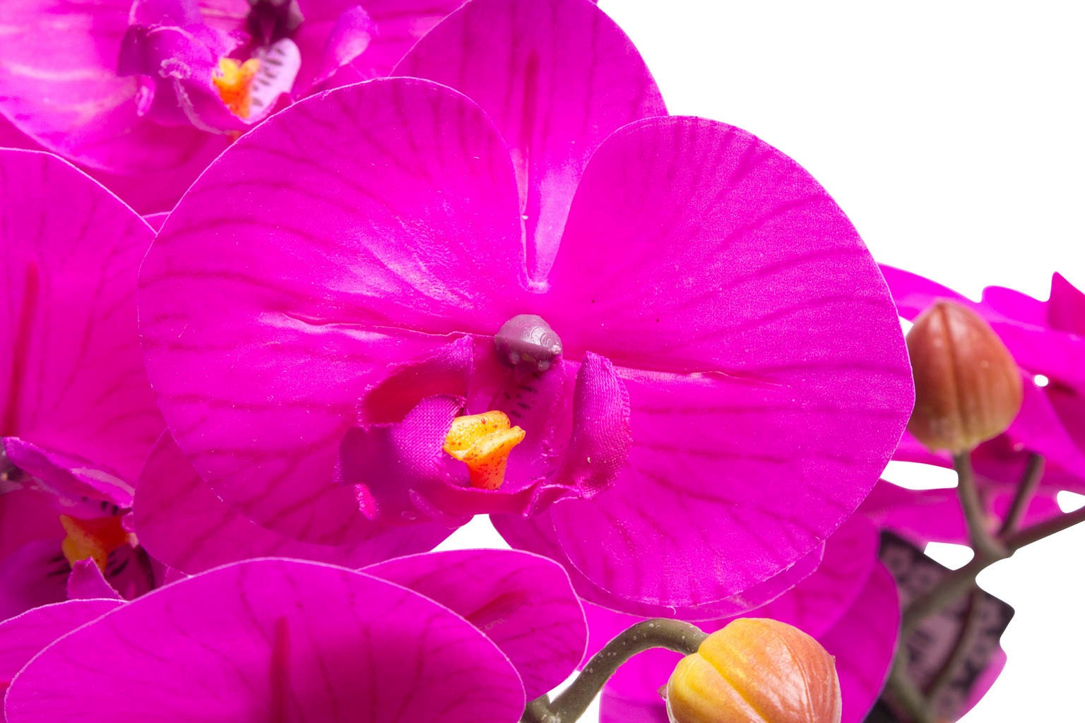 Botanic-Haus Kunstorchidee Online Bora«, OTTO (1 »Orchidee Shop im St.) kaufen