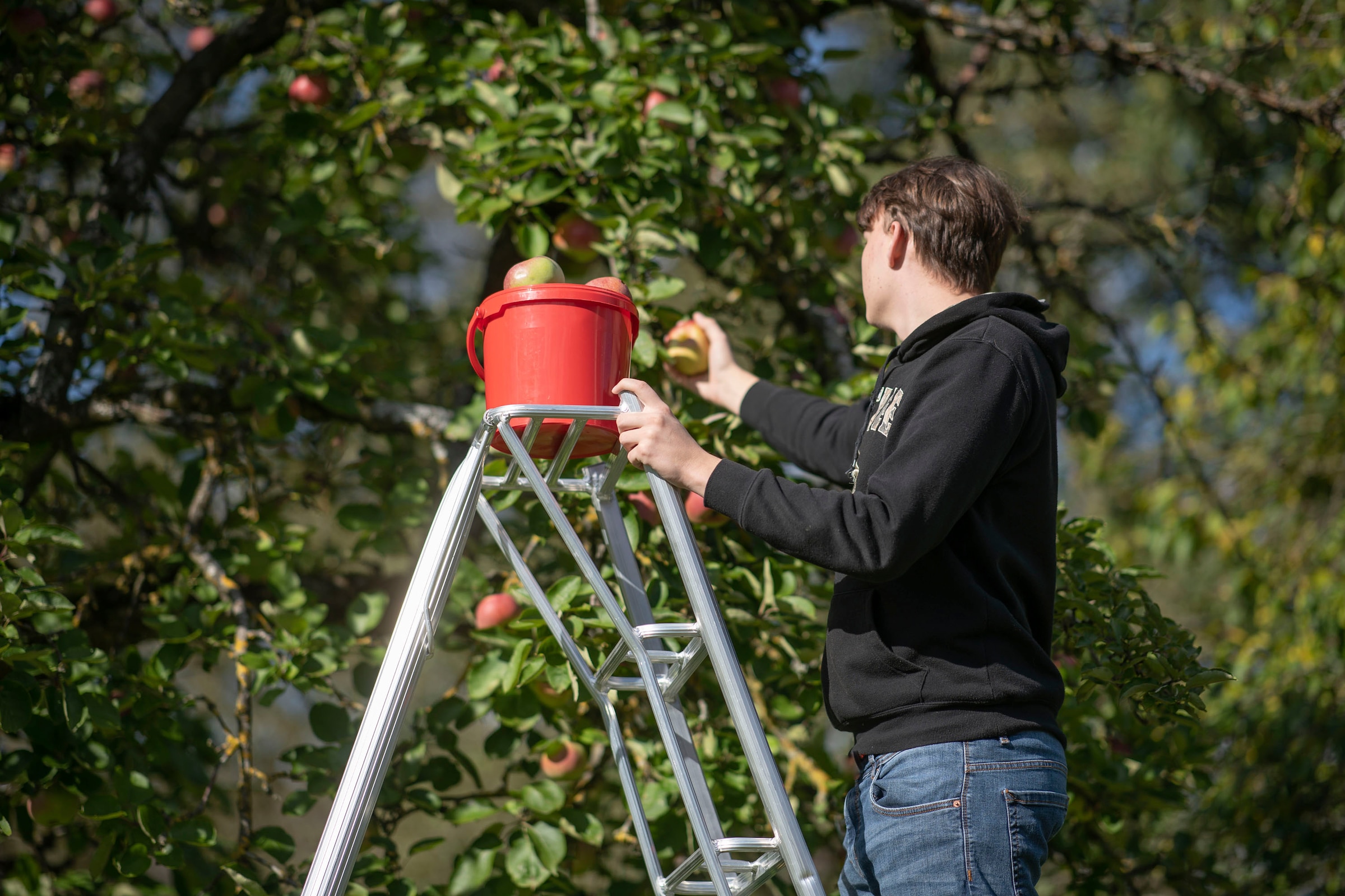 Niwaki Vielzweckleiter Gartenleiter, gleicht Unebenheiten im Gelände aus