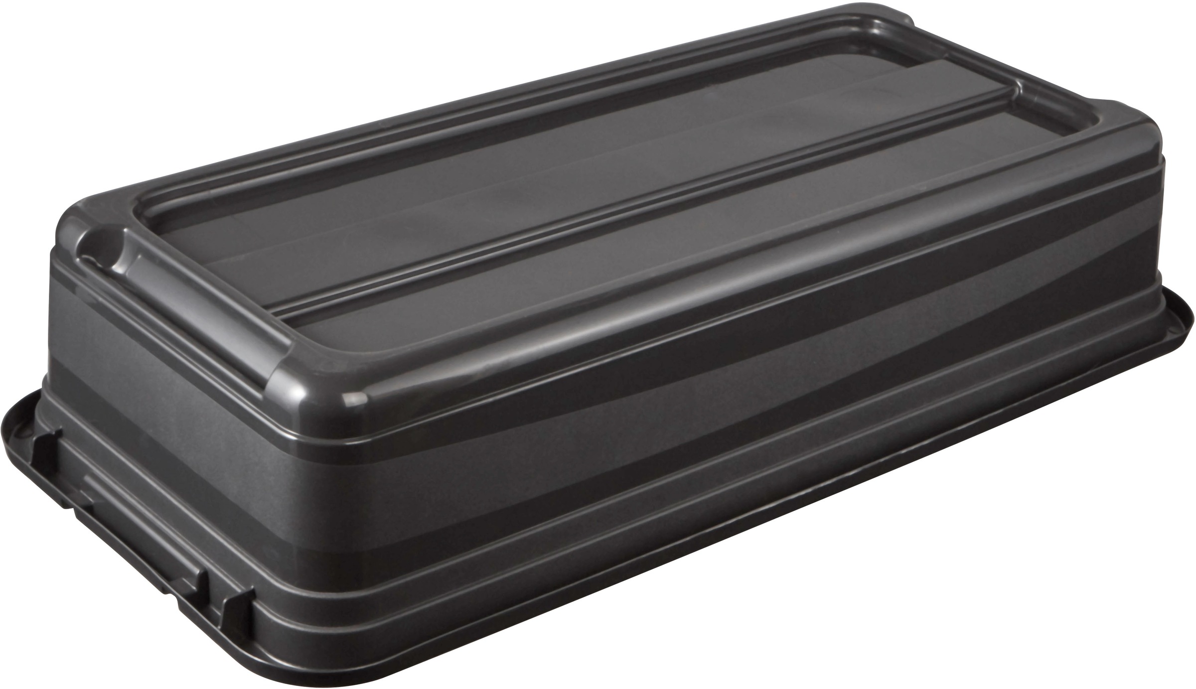 keeeper Transportbehälter »eckhart, 2er Set Transporbox, 33 L, 79,5 x 39,5 x 17 cm« 39,5 cm breit 17 cm hoch 79,5 cm lang Set, 2 Stk. tlg. seitl. Clips, Griffe am Boden, stoßfeste Seitenwände, robuster Deckel