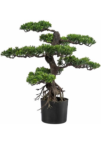 Kunstbonsai »Bonsai«