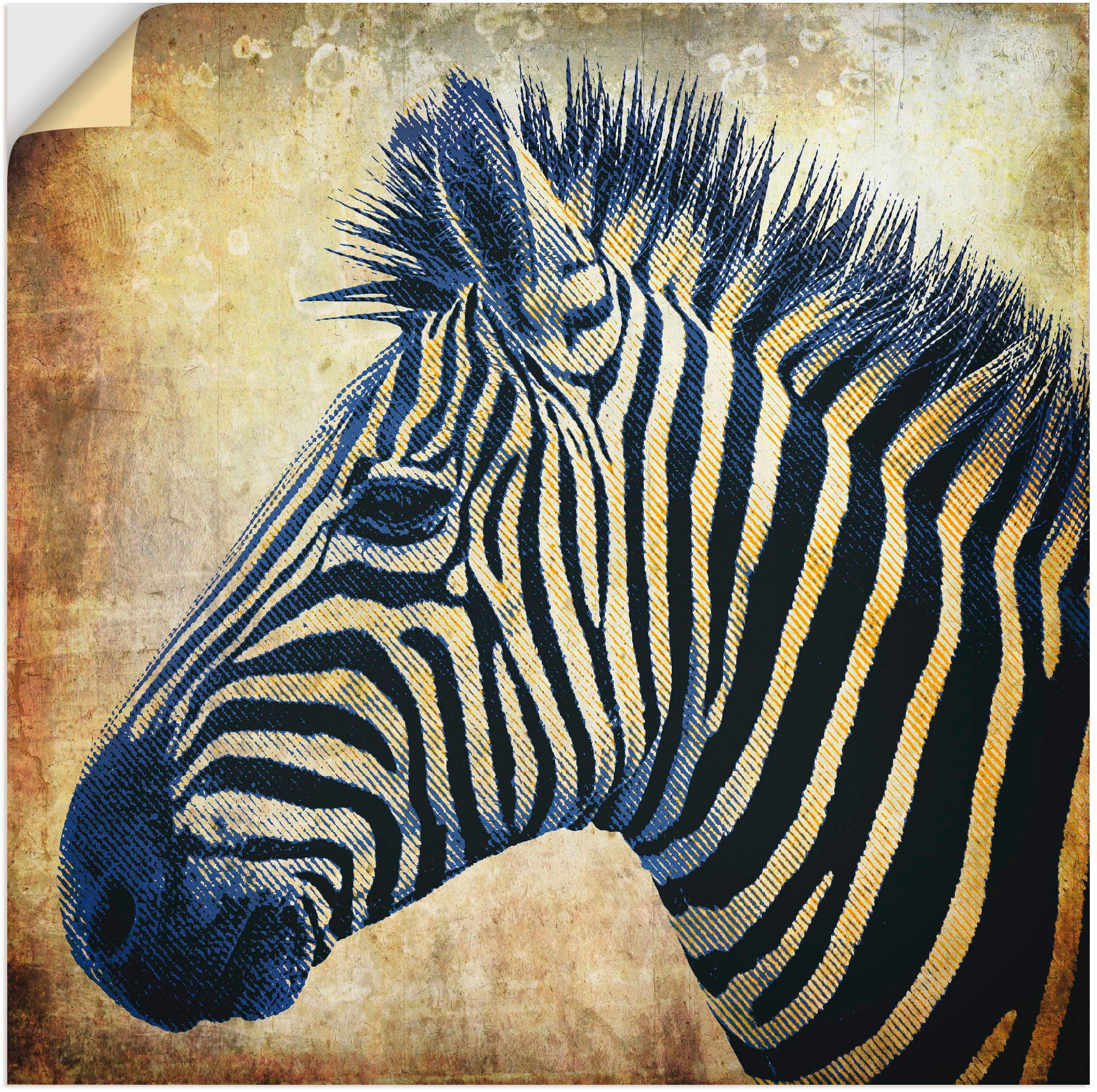 Alubild, PopArt«, versch. OTTO oder St.), »Zebra bei Wandbild online Leinwandbild, als Wandaufkleber (1 Größen Artland Porträt Poster in Wildtiere,