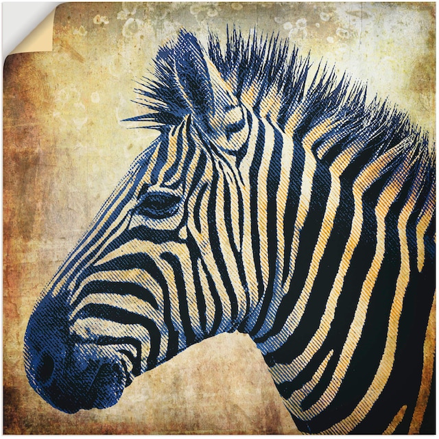 Artland Wandbild »Zebra Porträt PopArt«, Wildtiere, (1 St.), als Alubild,  Leinwandbild, Wandaufkleber oder Poster in versch. Größen online bei OTTO