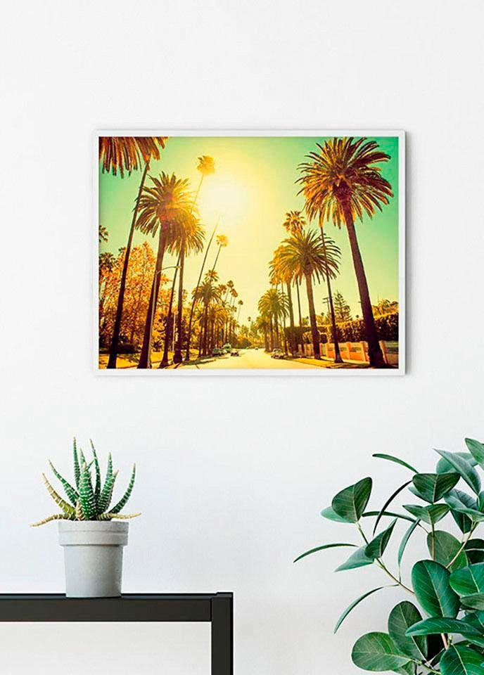 Komar Bild »Palm Alley« Städte 1 Stk. tlg. Wandbild zur Dekoration - ohne Rahmen