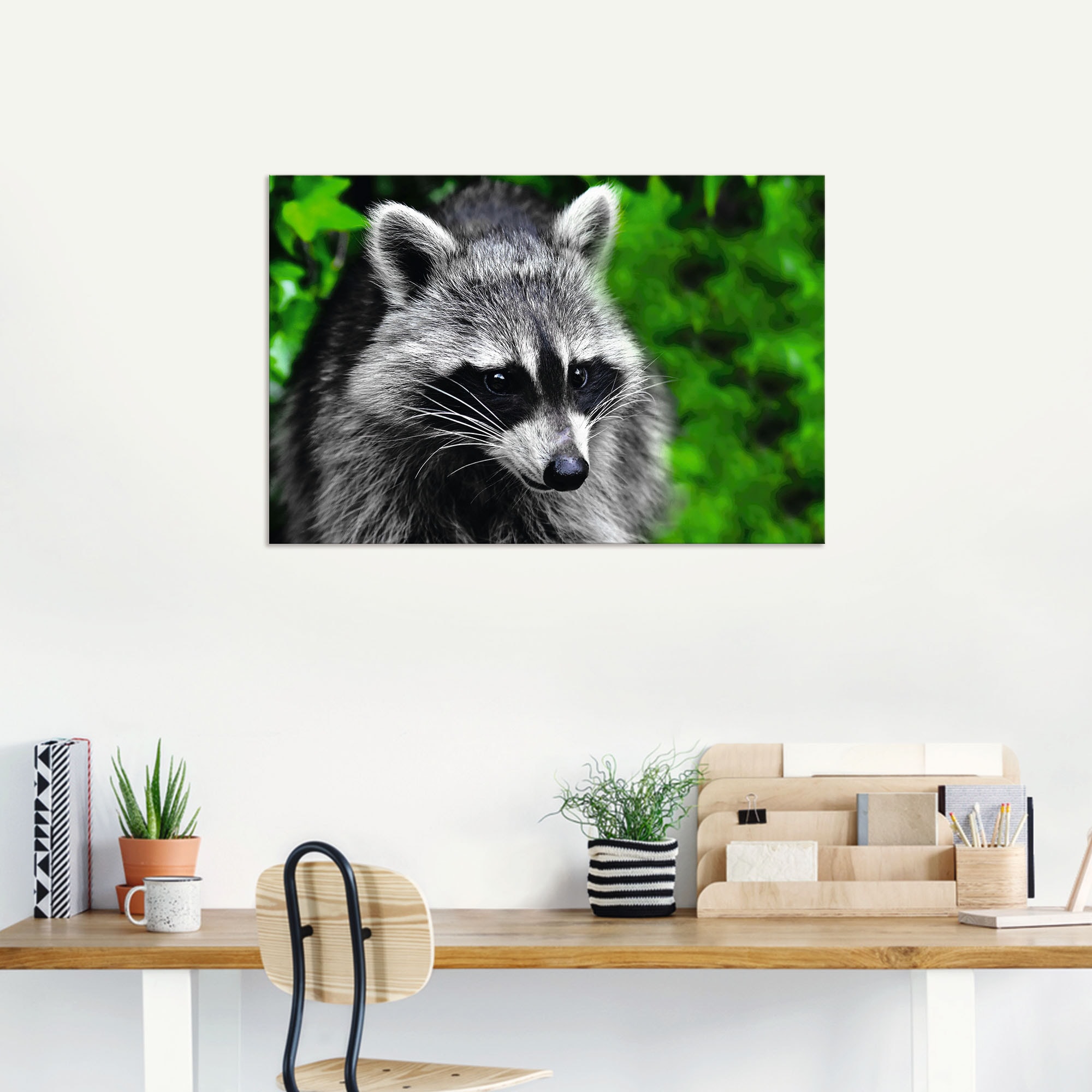 Artland Alu-Dibond-Druck »Waschbär«, Wald, (1 St.), für Innen- und Außenbereich geeignet, Outdoorbild