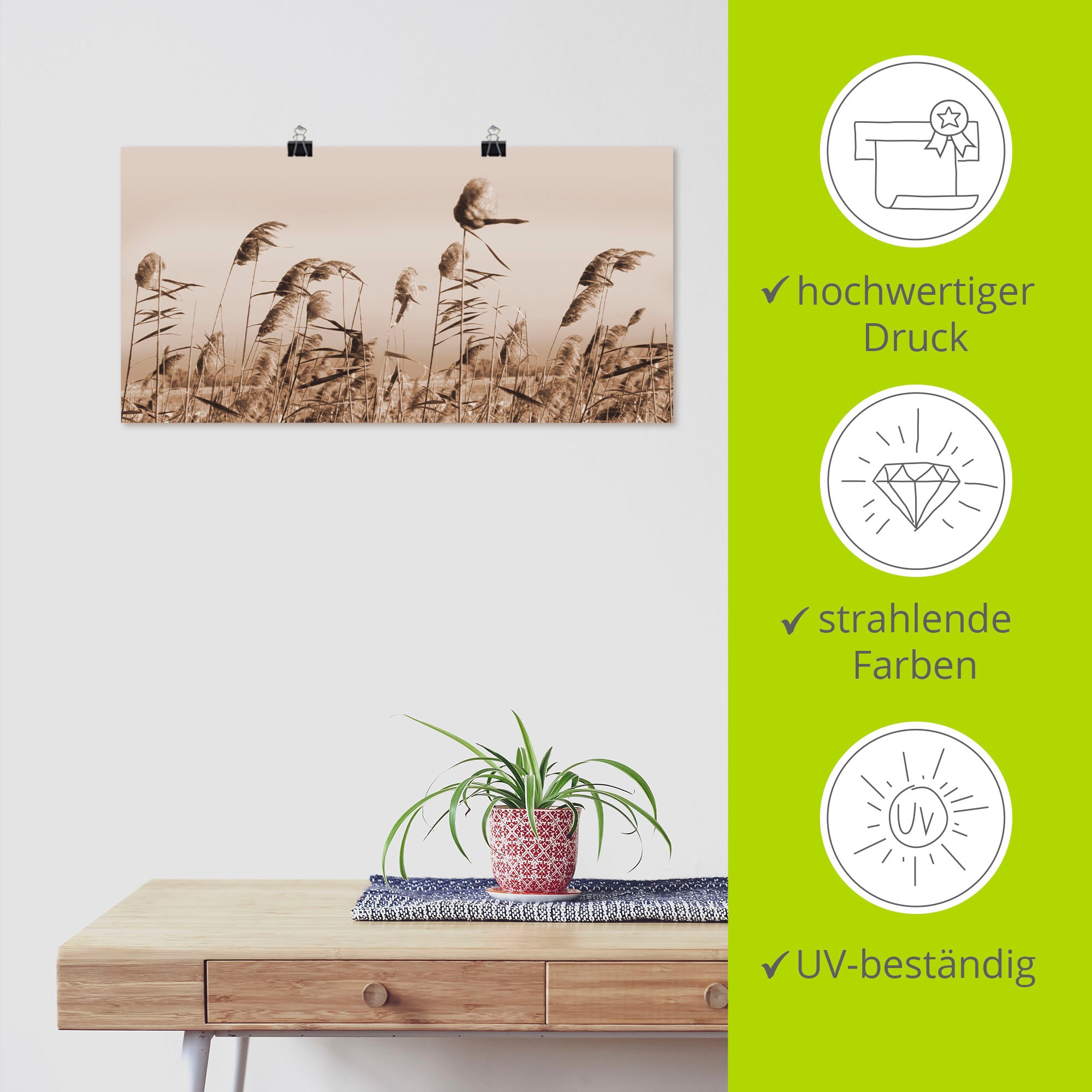 Artland Wandbild »Gräser«, Gräser, (1 St.), als Alubild, Outdoorbild, Leinwandbild, Poster, Wandaufkleber