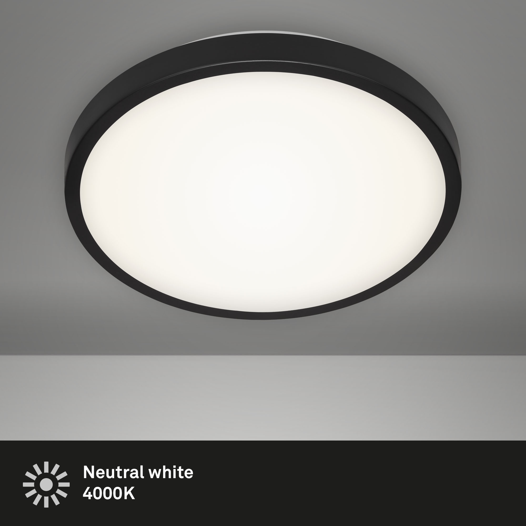 Briloner Leuchten Deckenleuchte »Deckenleuchte MANNY«