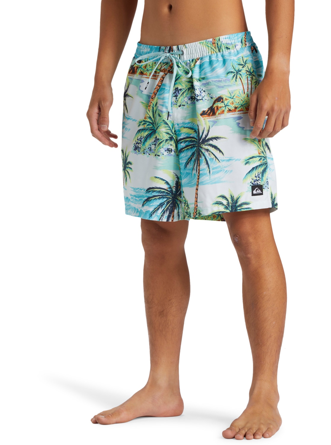 Quiksilver Boardshorts »Everyday Mix 17"«