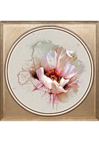 Acrylglasbild »Weiße Blüte«