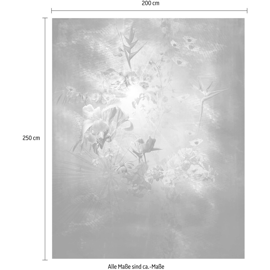Komar Vliestapete »Enlightenment«, 200x250 cm (Breite x Höhe), Vliestapete, 100 cm Bahnbreite